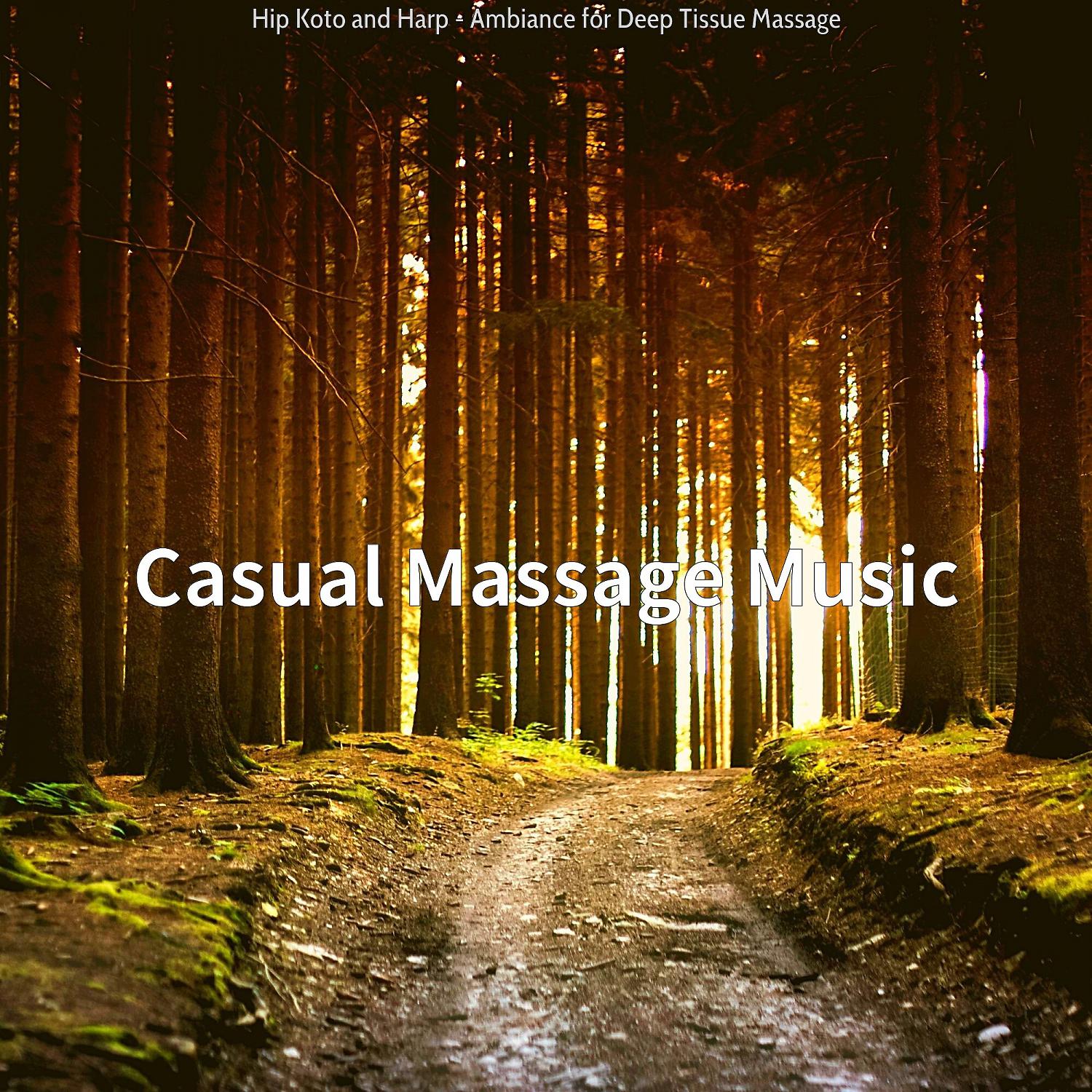 Постер альбома Hip Koto and Harp - Ambiance for Deep Tissue Massage