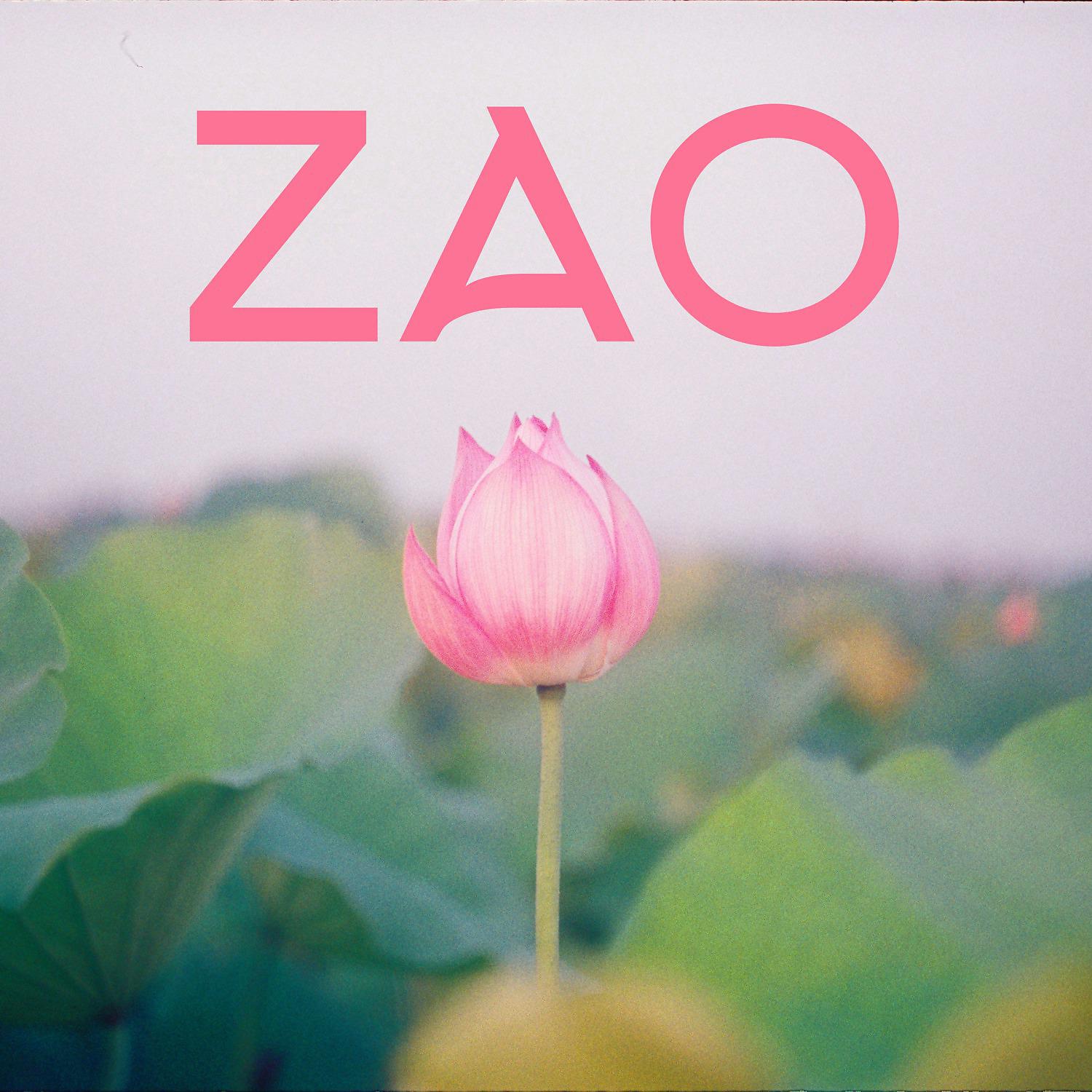 Постер альбома Zao