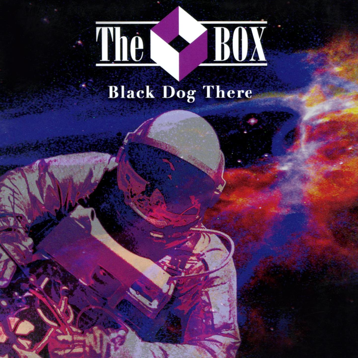 Постер альбома Black Dog There