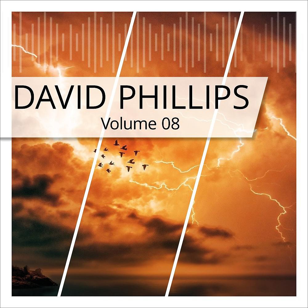 Постер альбома David Phillips, Vol. 8