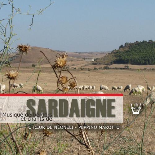 Постер альбома Sardaigne : Musique de bergers & chants