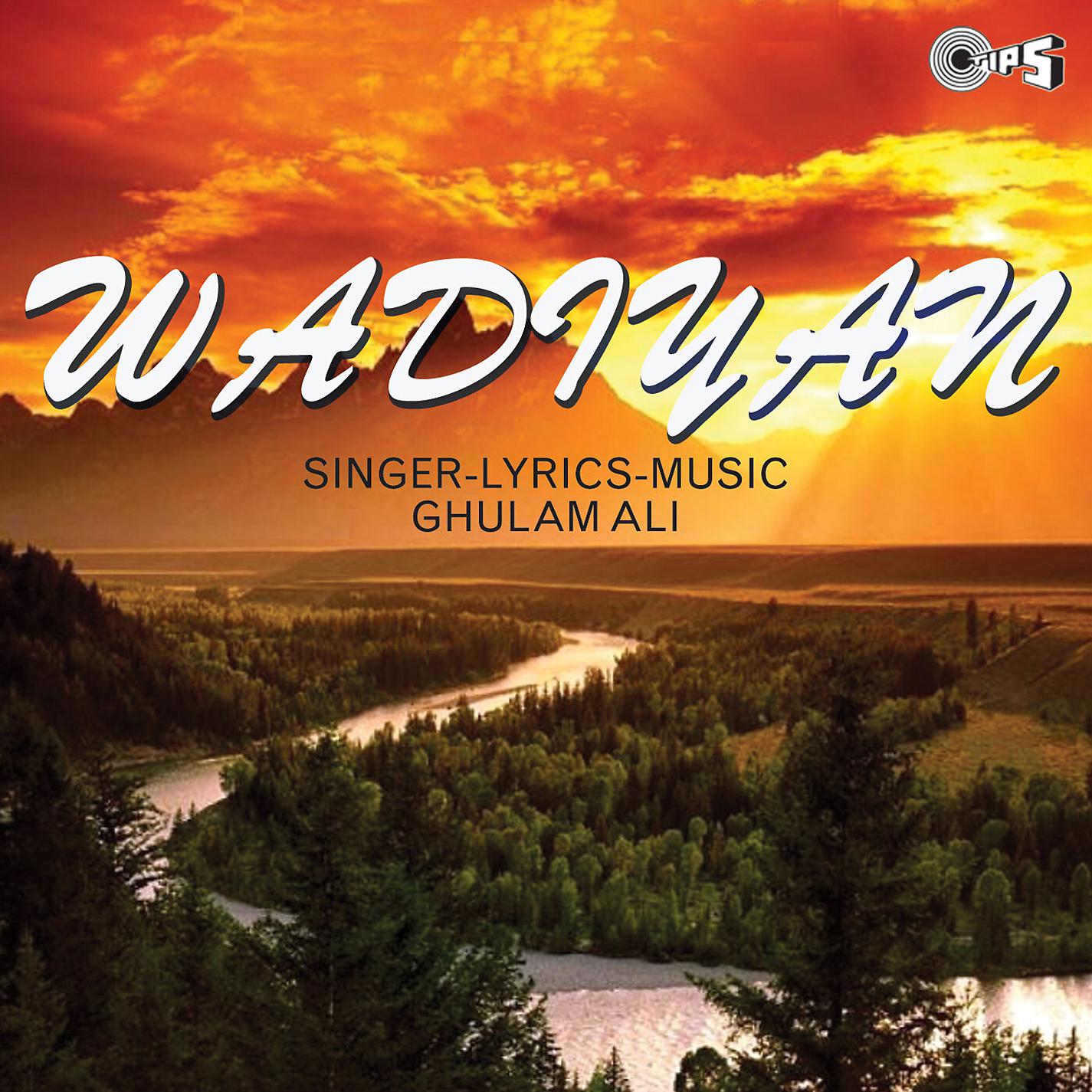 Постер альбома Wadiyan
