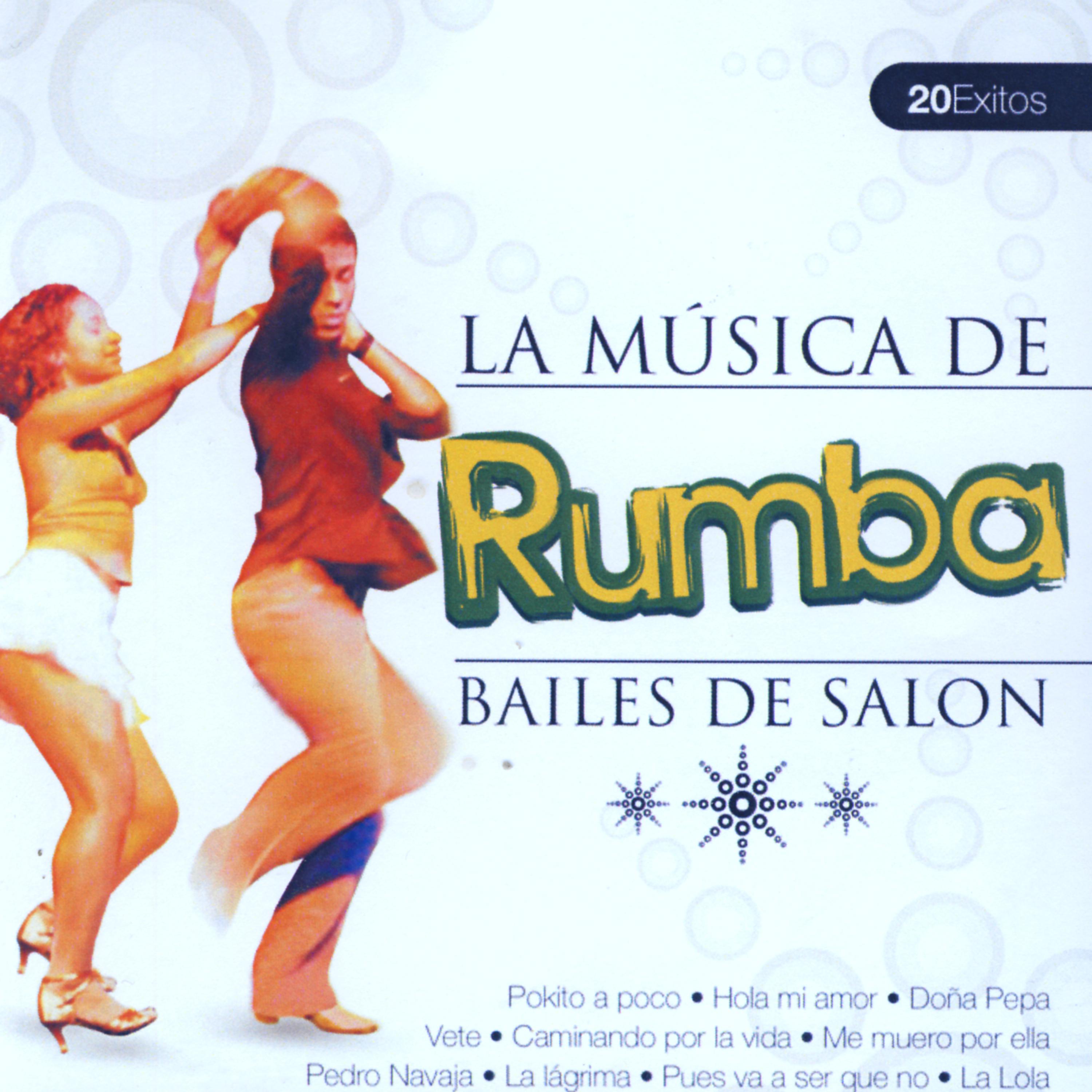 Постер альбома Bailes de Salón Rumba  (Ballroom Dance Rumba)