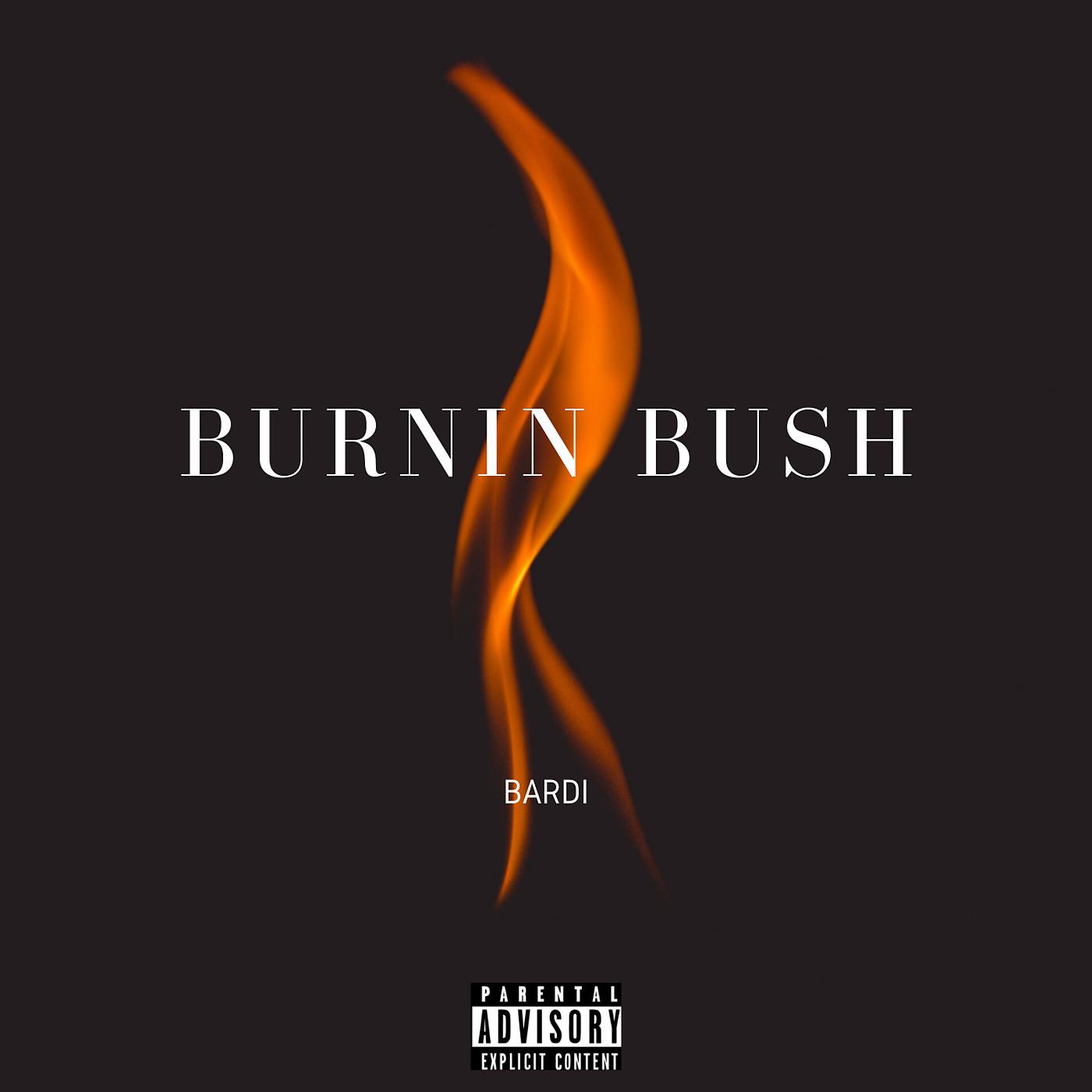 Постер альбома Burnin Bush