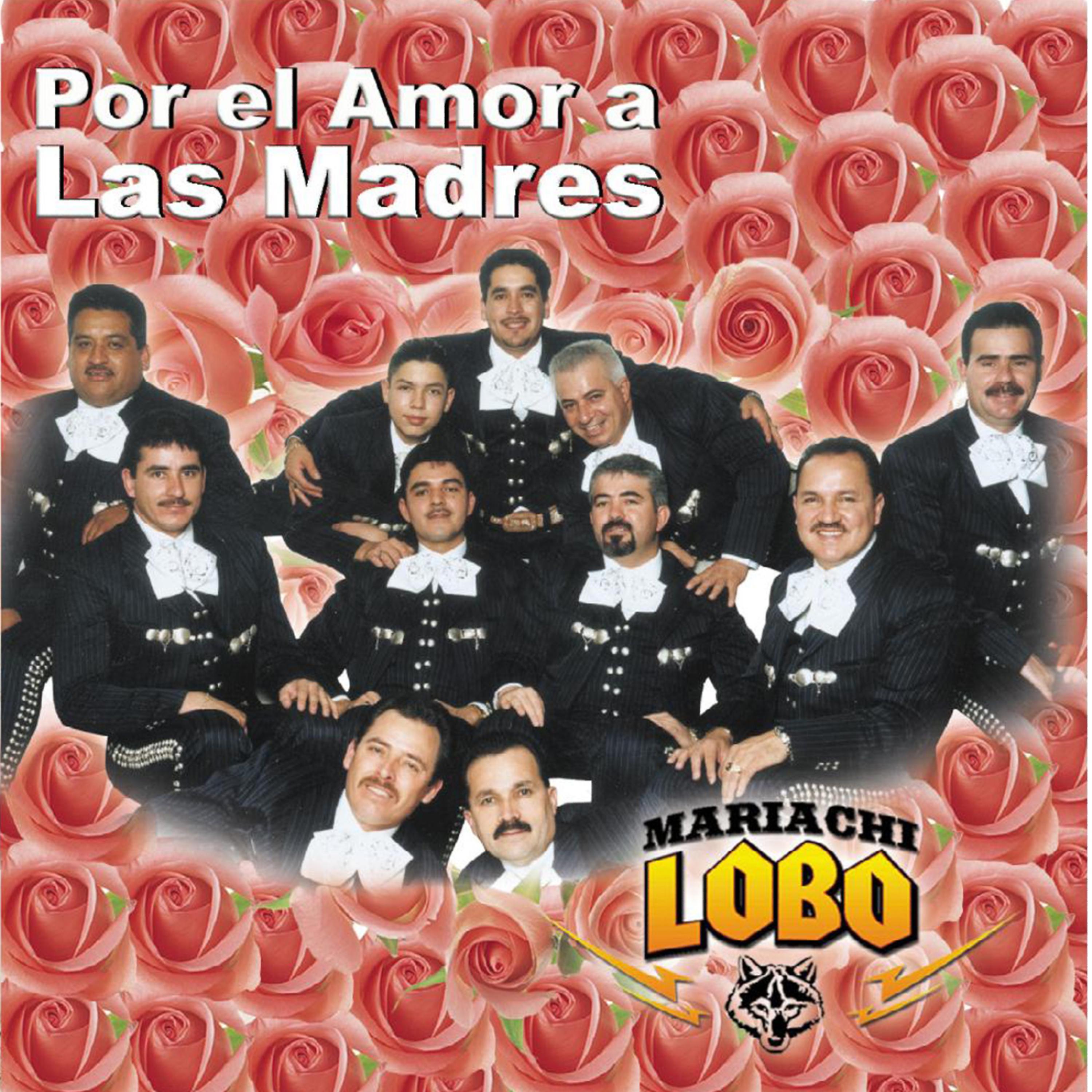 Постер альбома Por el Amor a las Madres