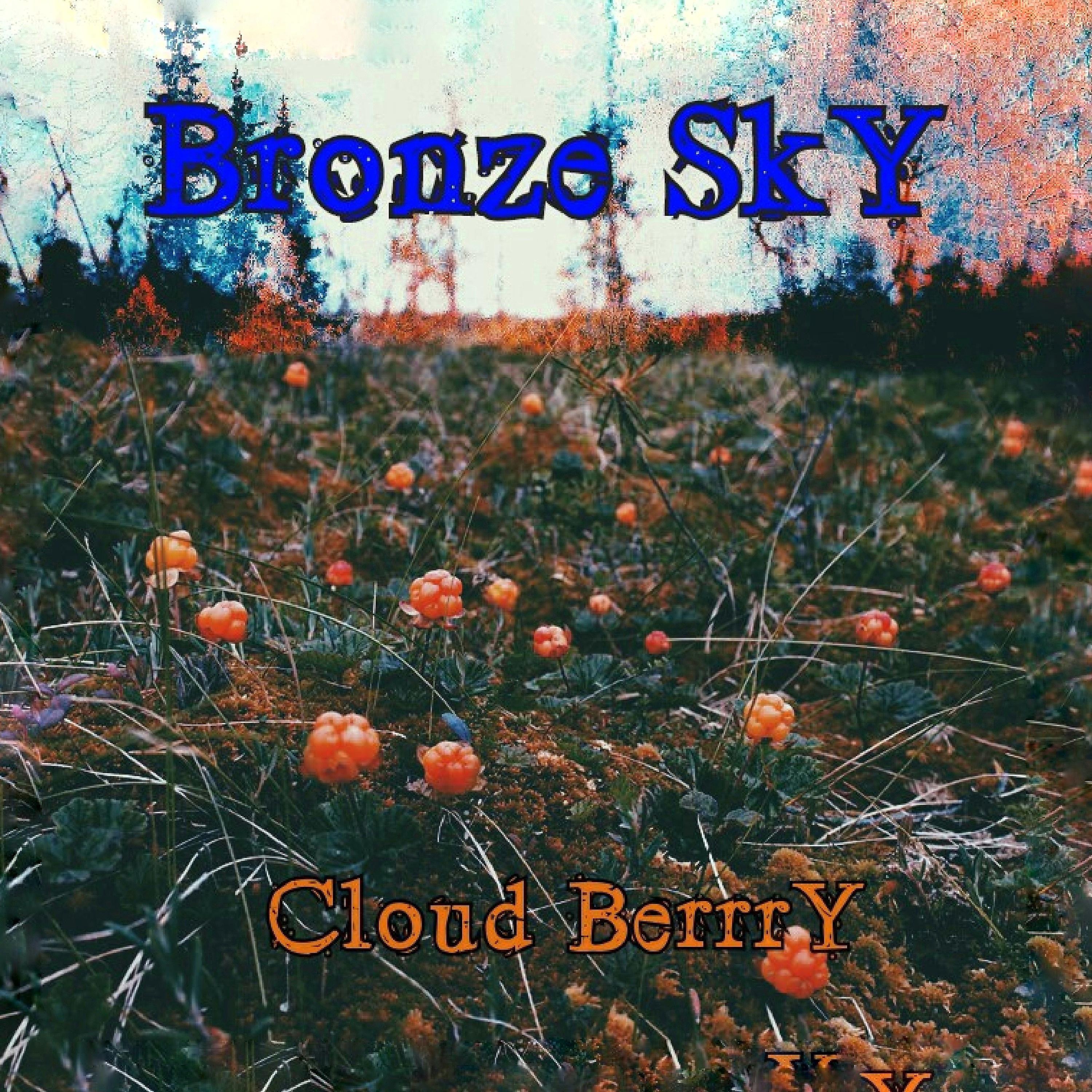 Постер альбома Cloud Berrry