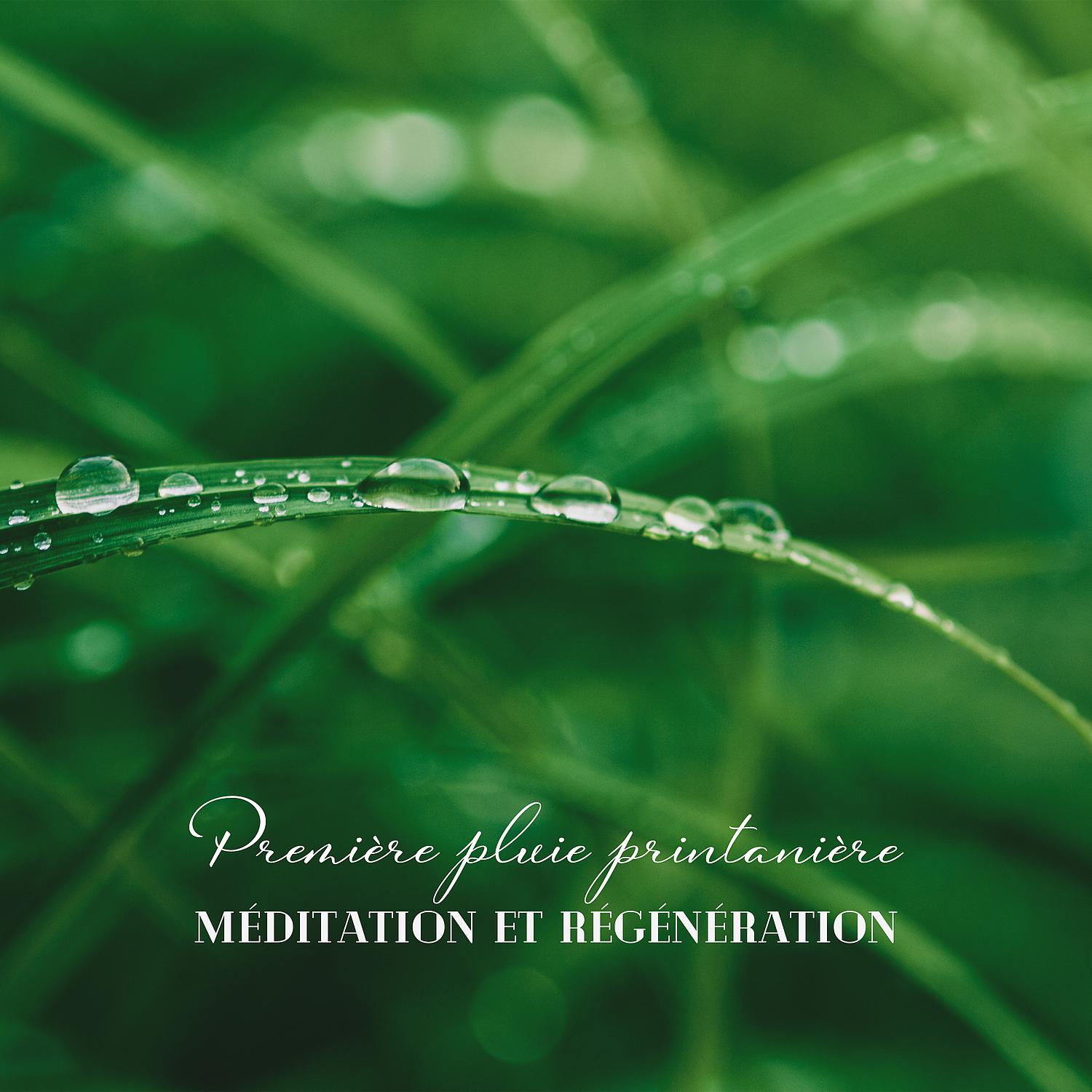 Постер альбома Première pluie printanière: Méditation et régénération