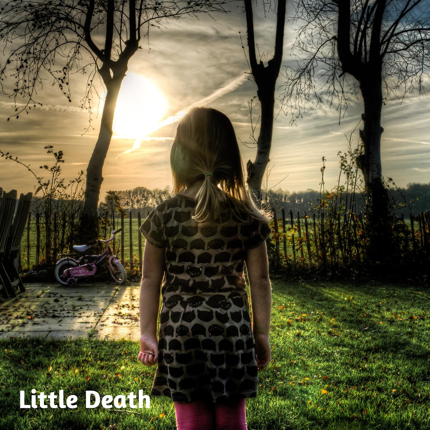 Постер альбома Little Death