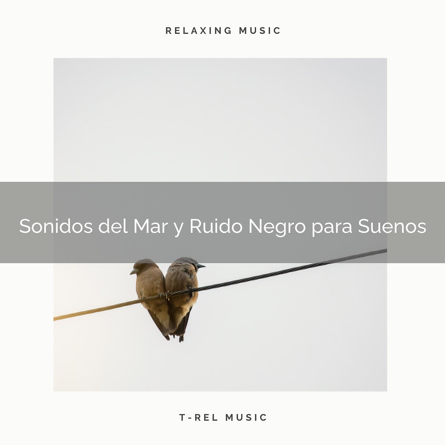 Постер альбома Sonidos del Mar y Ruido Negro para Suenos