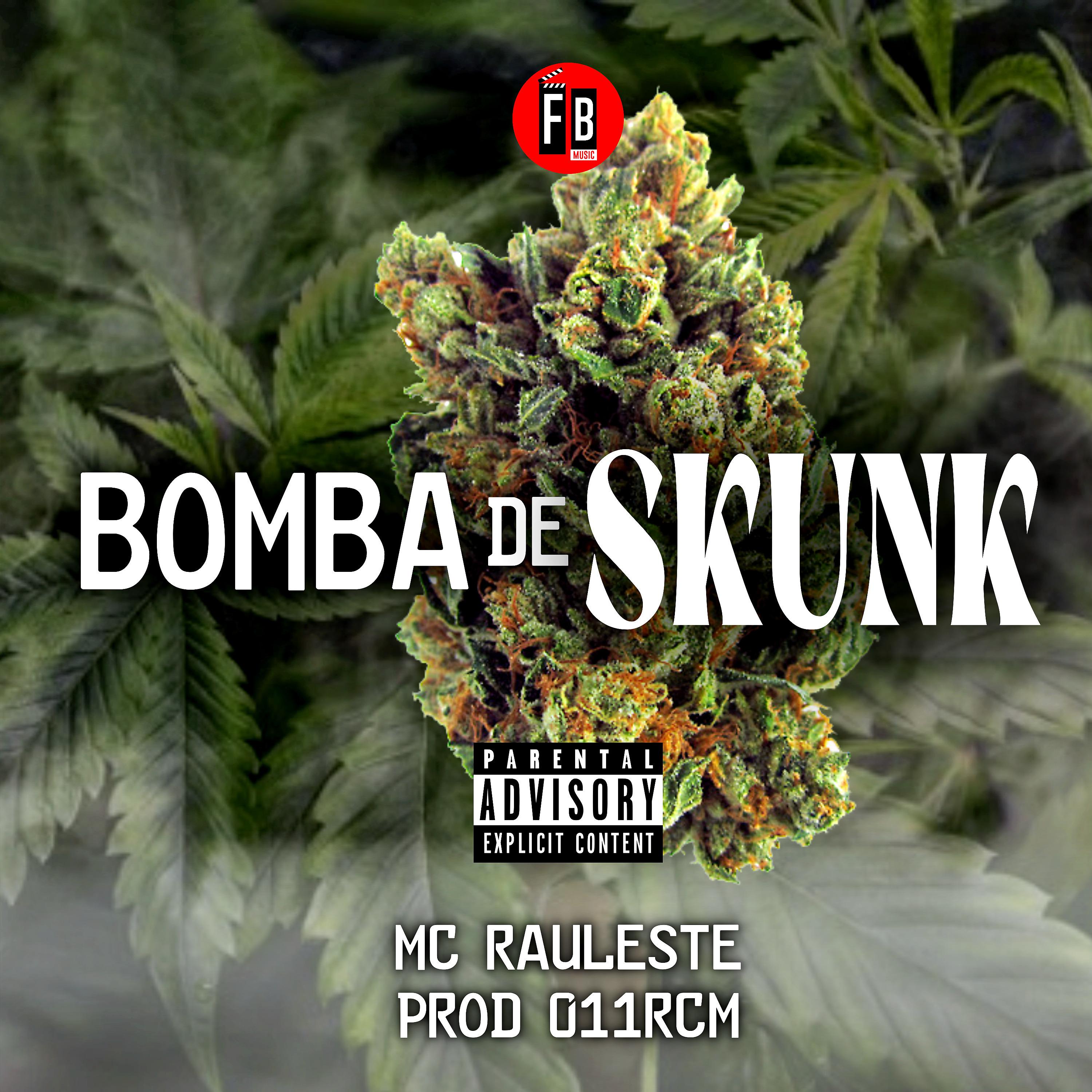 Постер альбома Bomba de Skunk