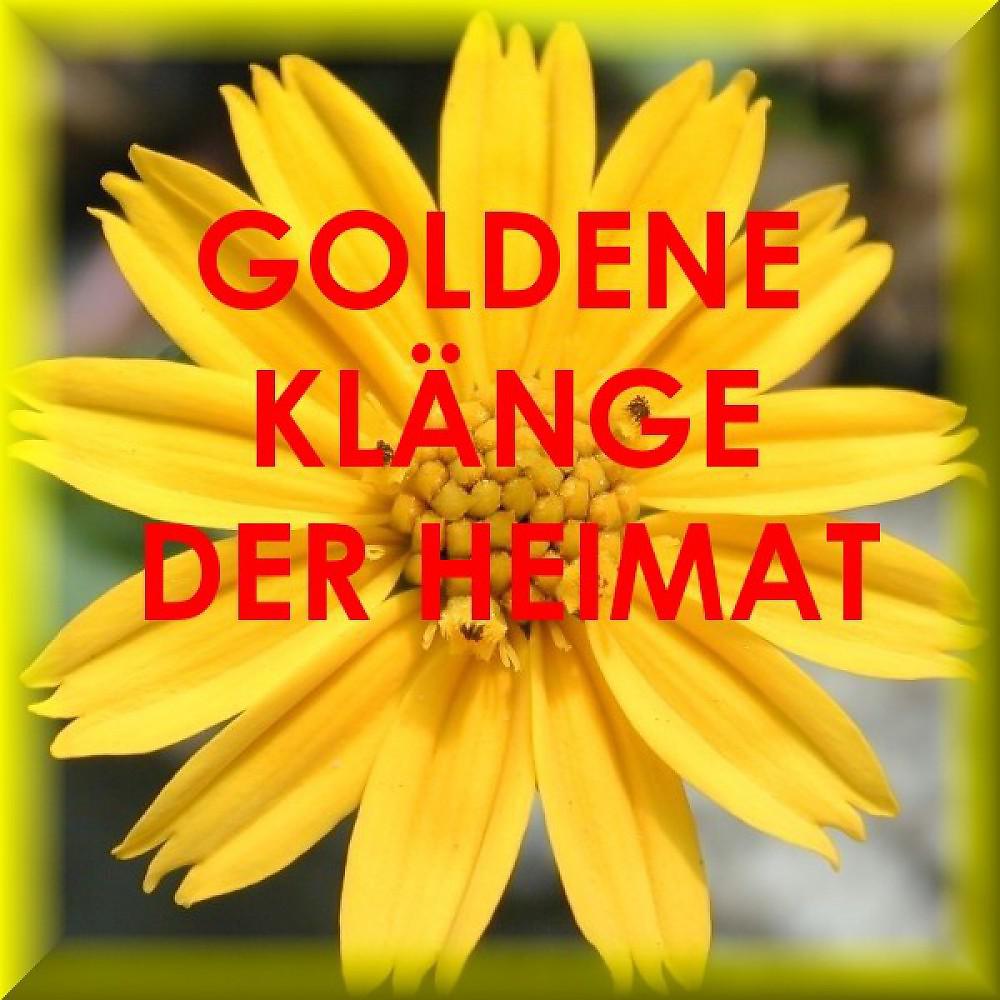 Постер альбома Goldene Klänge Der Heimat - Virtuose Akkordeon Musik - Accordeon