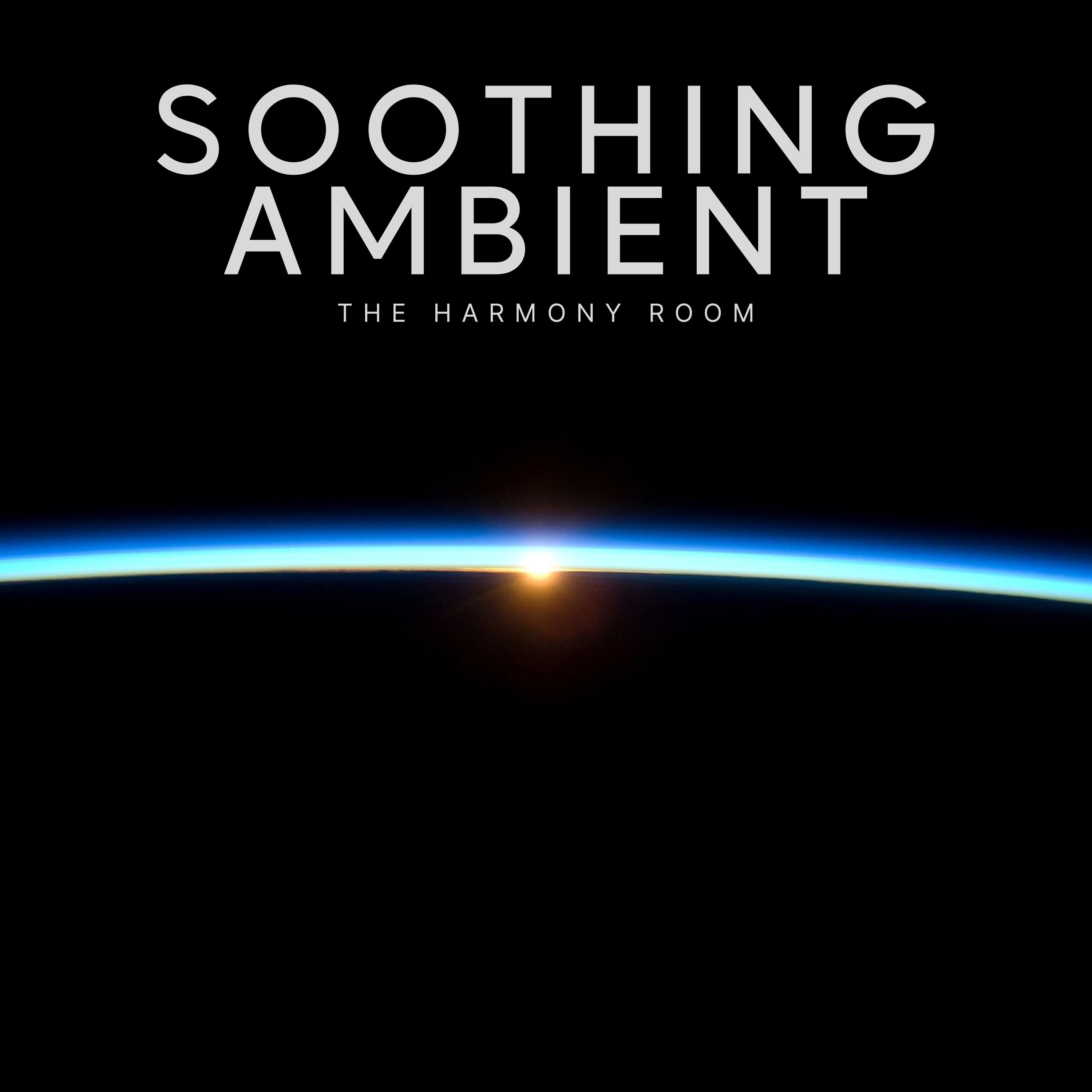 Постер альбома Soothing Ambient