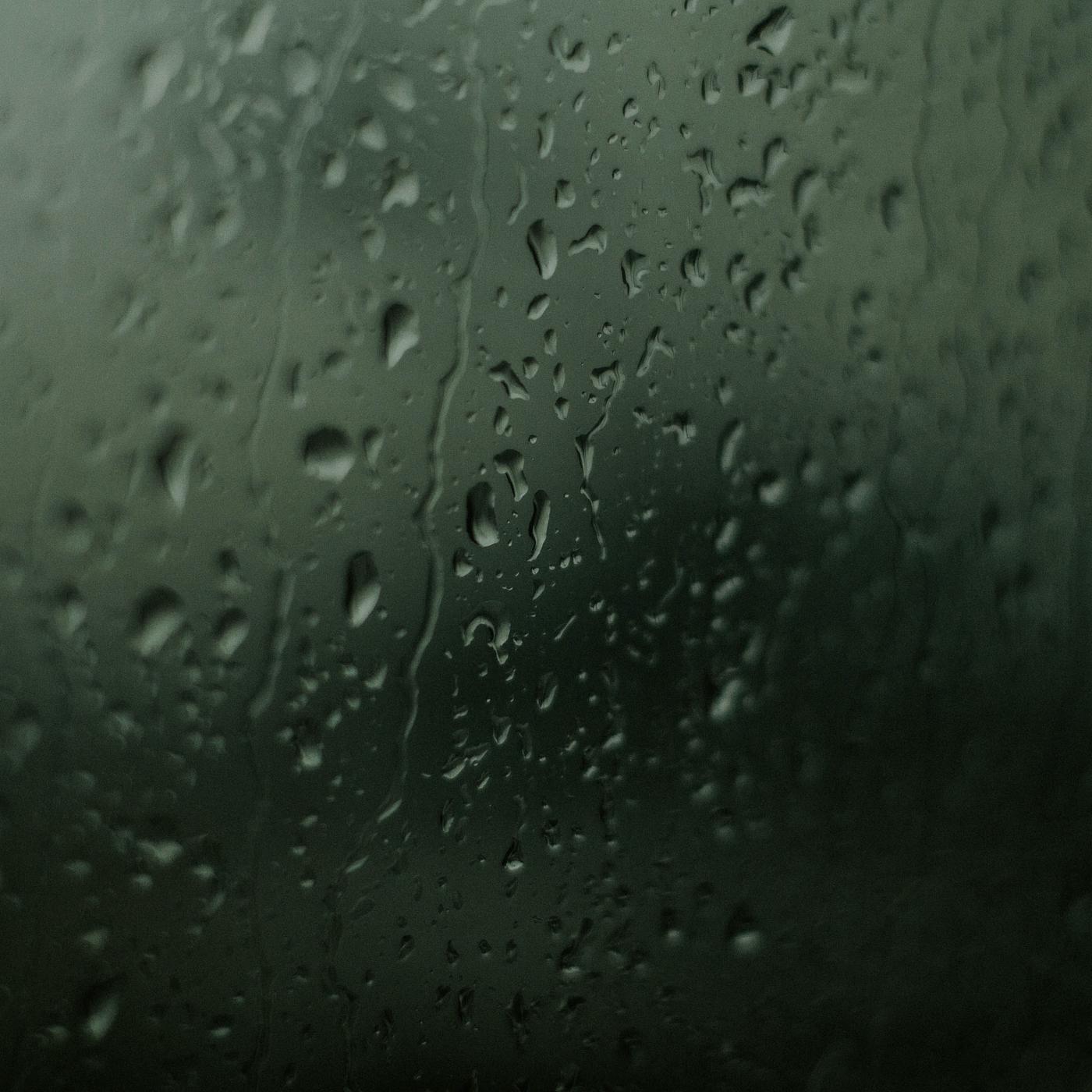 Постер альбома Rainy Day Reverie