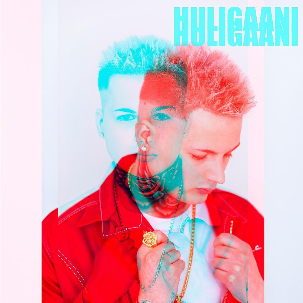 Постер альбома Huligaani