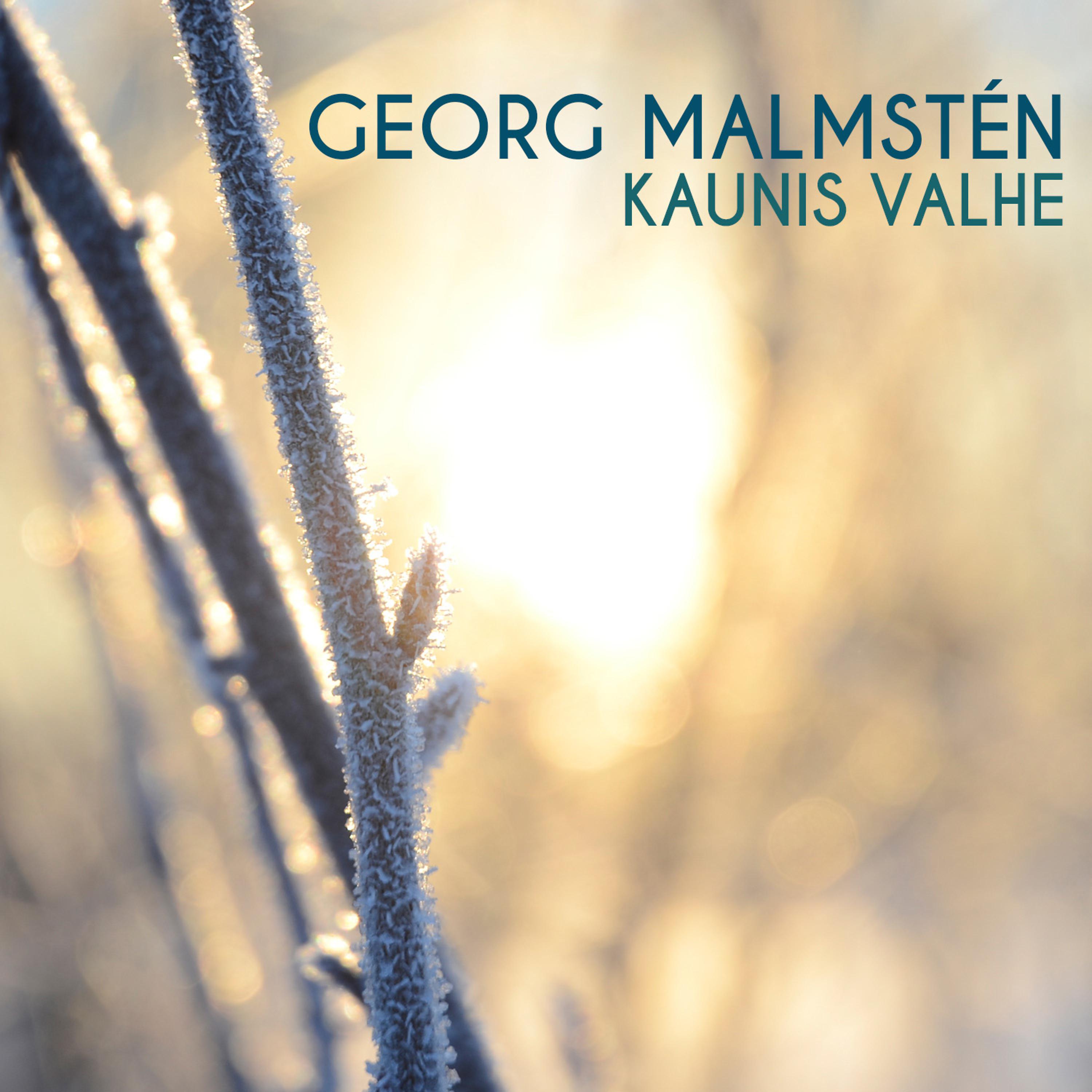 Постер альбома Kaunis Valhe
