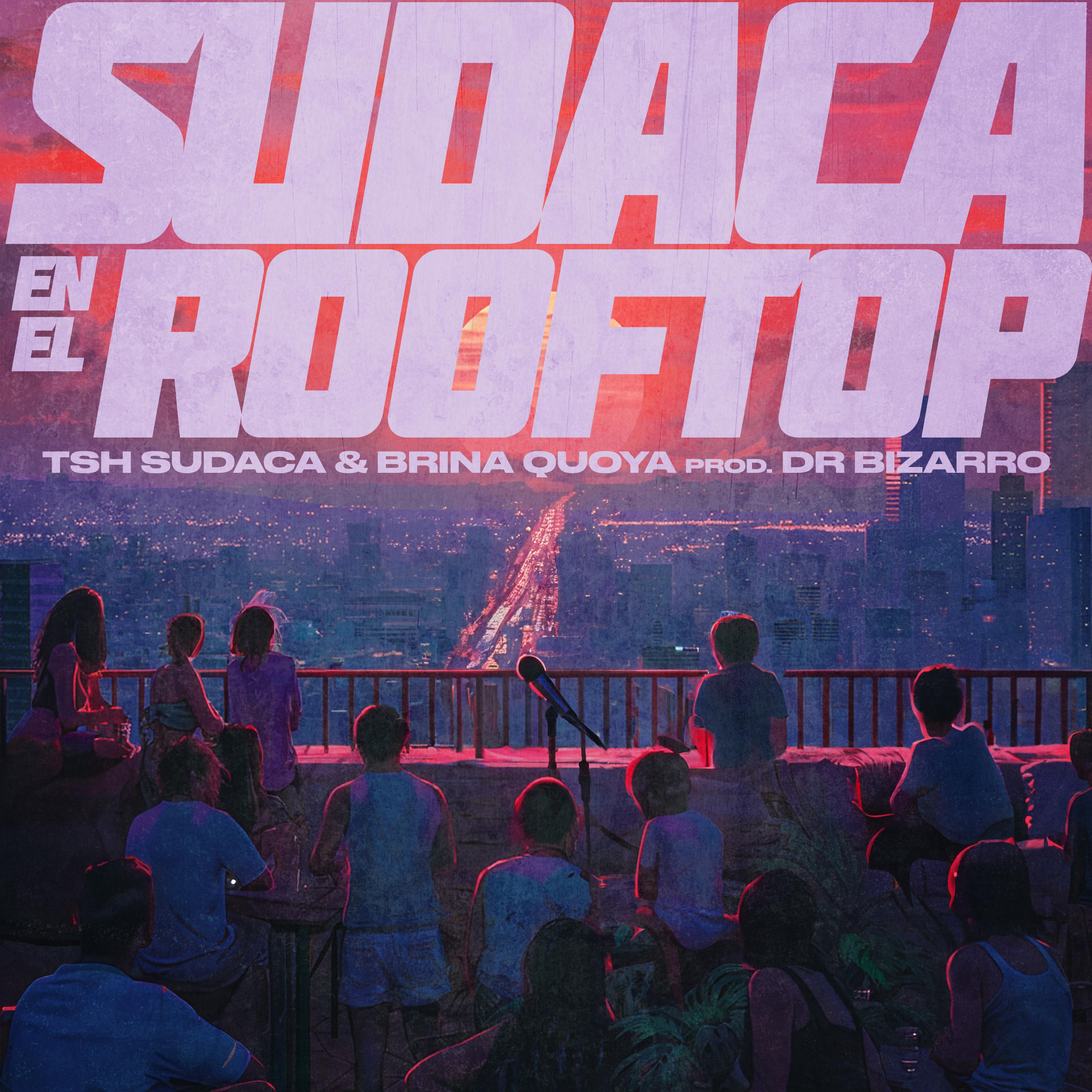 Постер альбома Sudaca en el Rooftop
