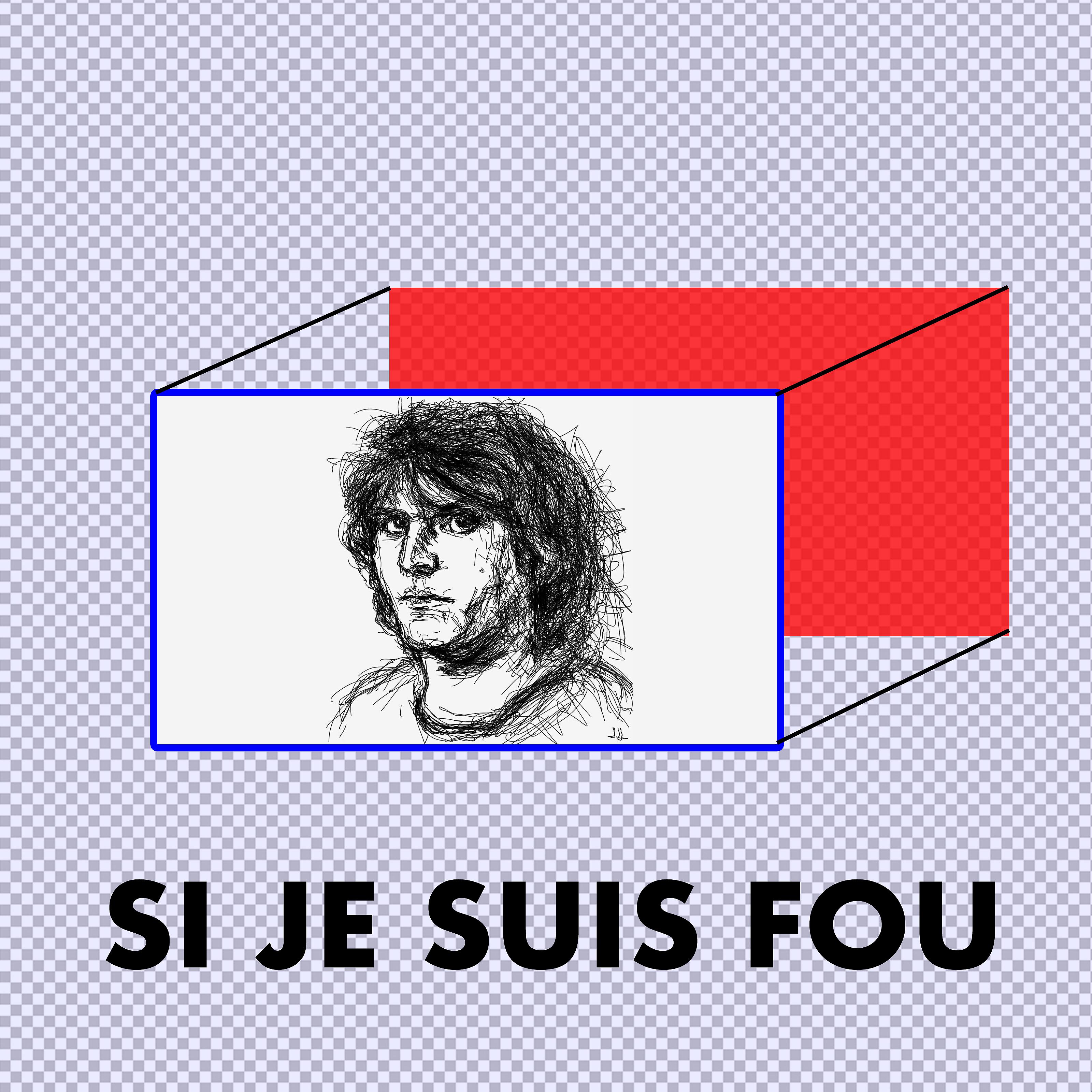 Постер альбома Si je suis fou