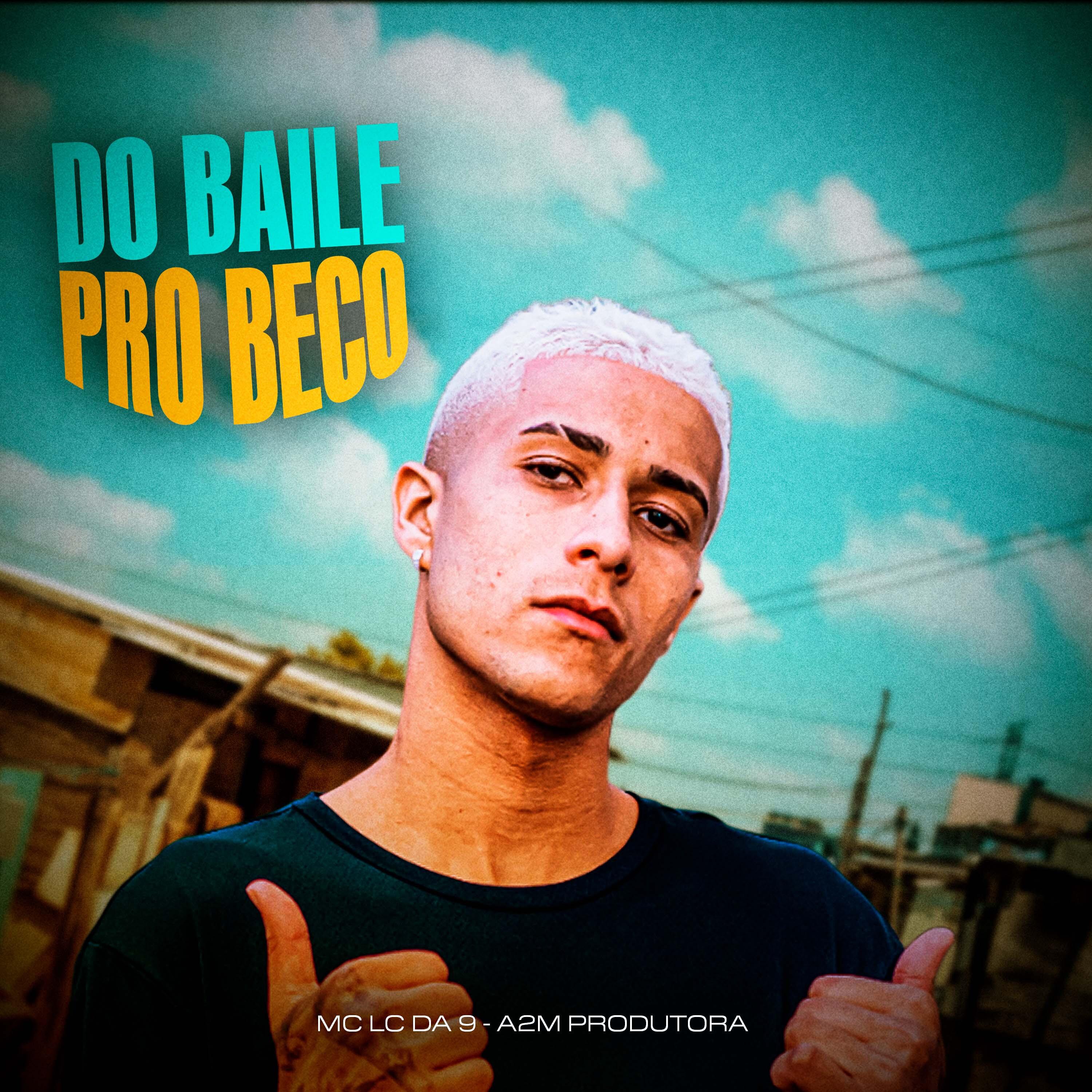Постер альбома Do Baile pro Beco