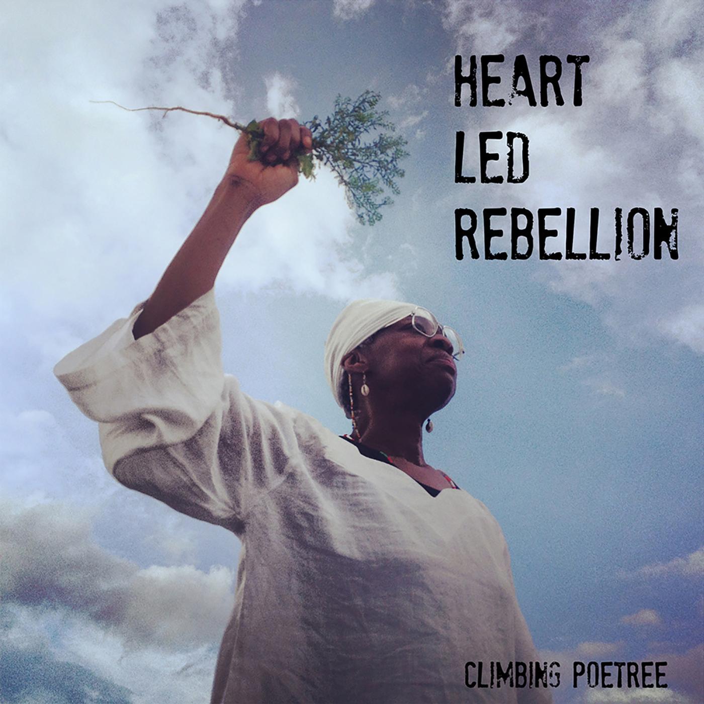 Постер альбома Heart Led Rebellion