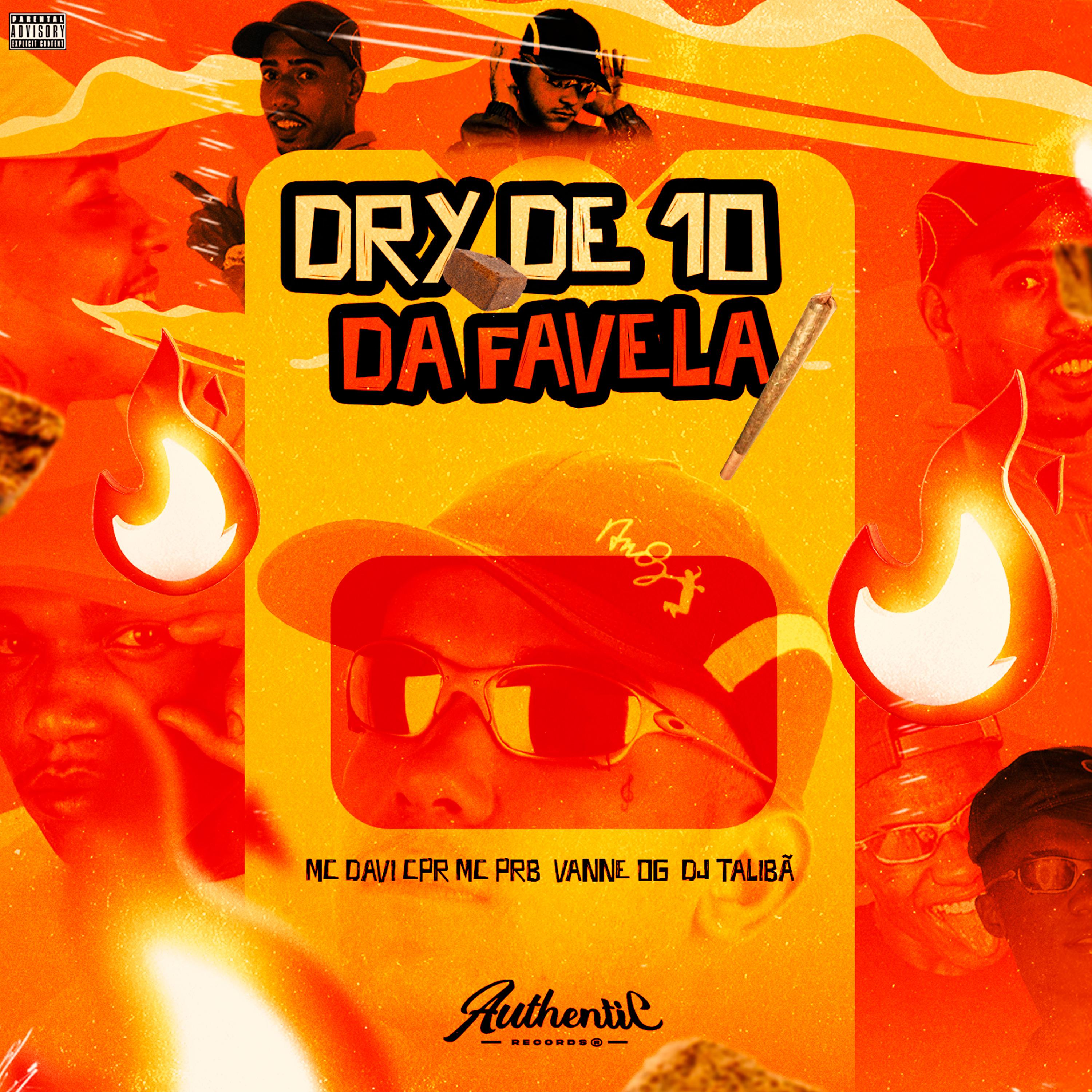 Постер альбома Dry de 10 da Favela