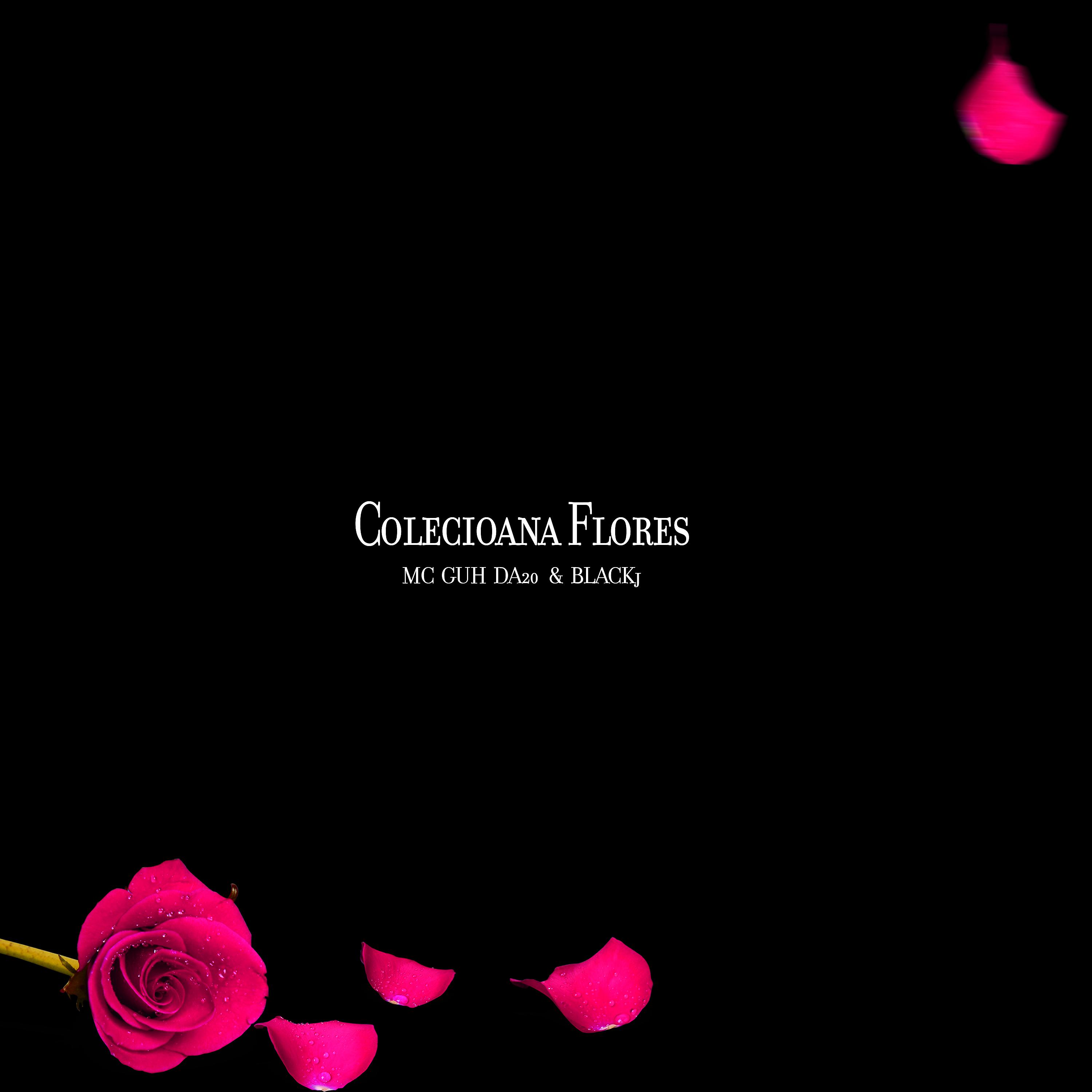 Постер альбома Coleciona Flores