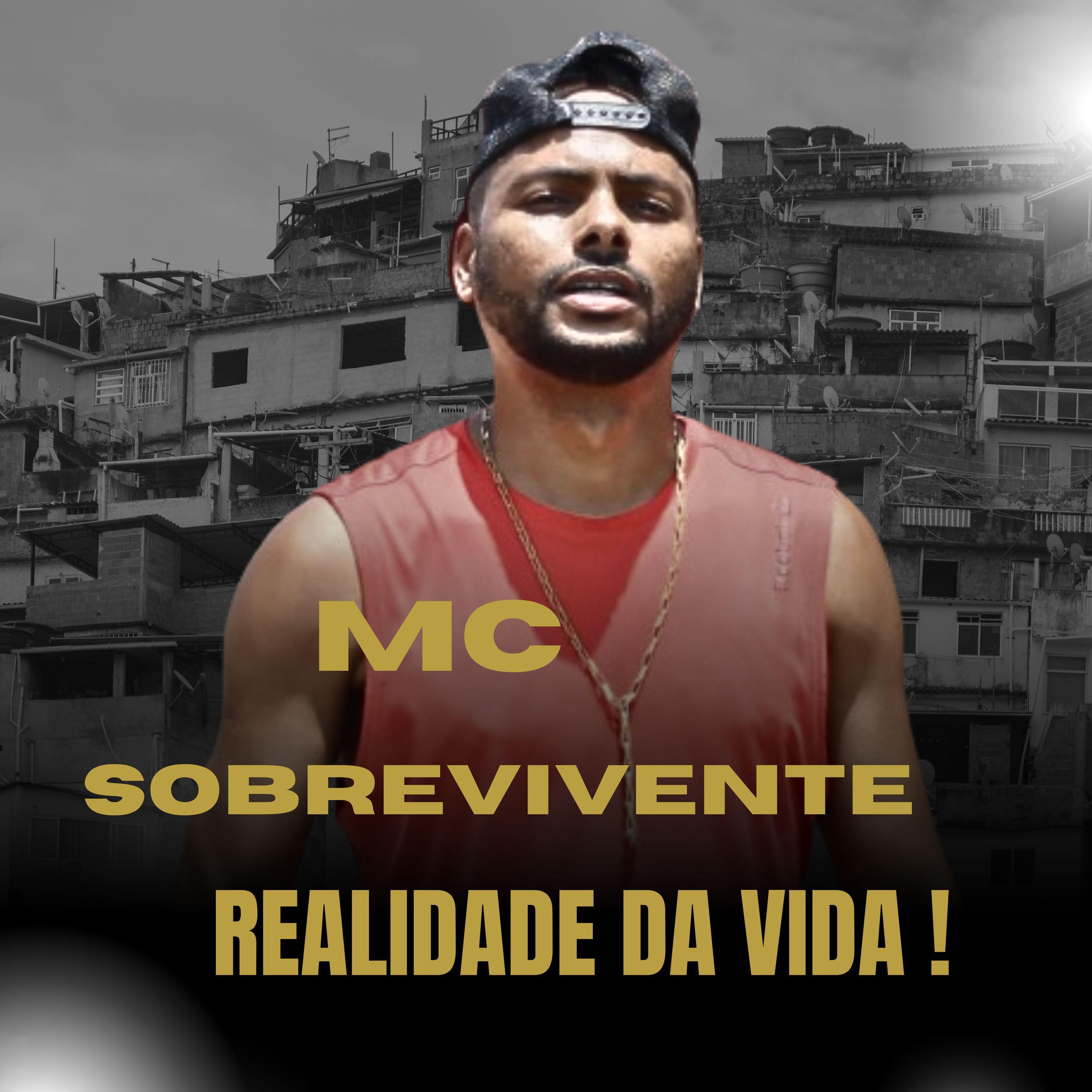 Постер альбома Realidade da Vida