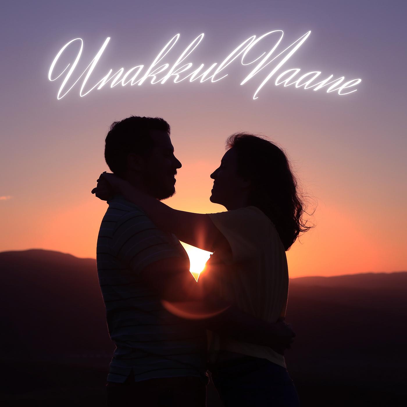 Постер альбома Unakkul Naane (Flip Mix)