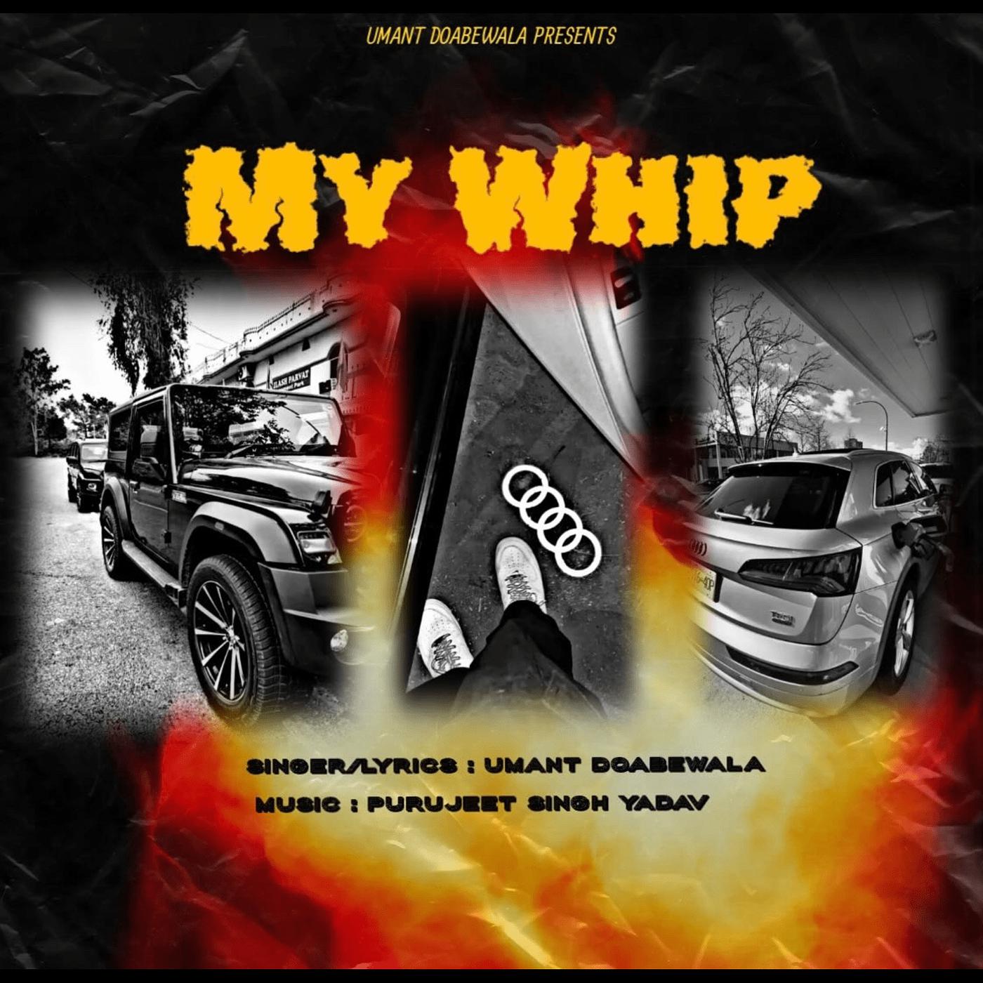 Постер альбома My Whip