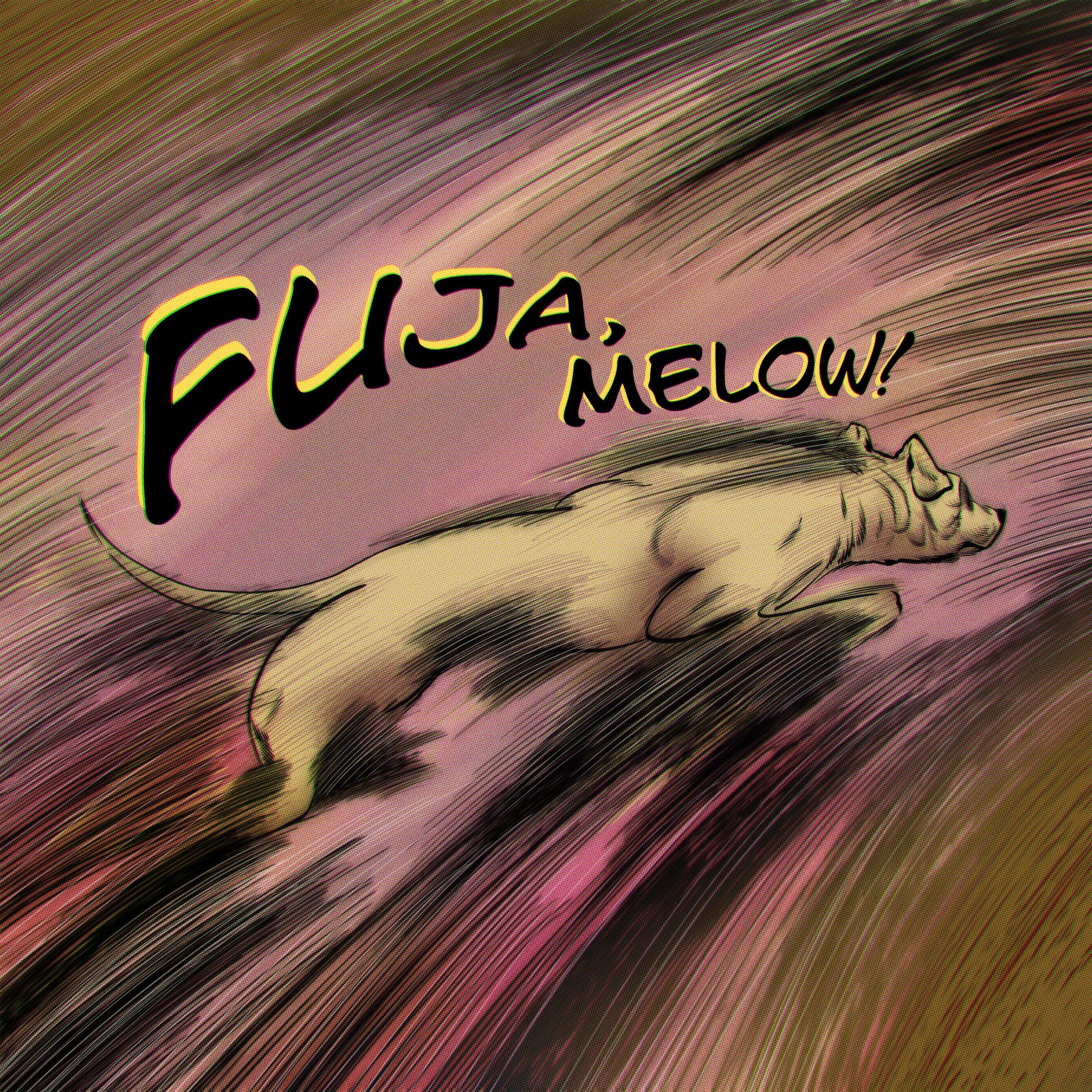 Постер альбома Fuja, Melow!