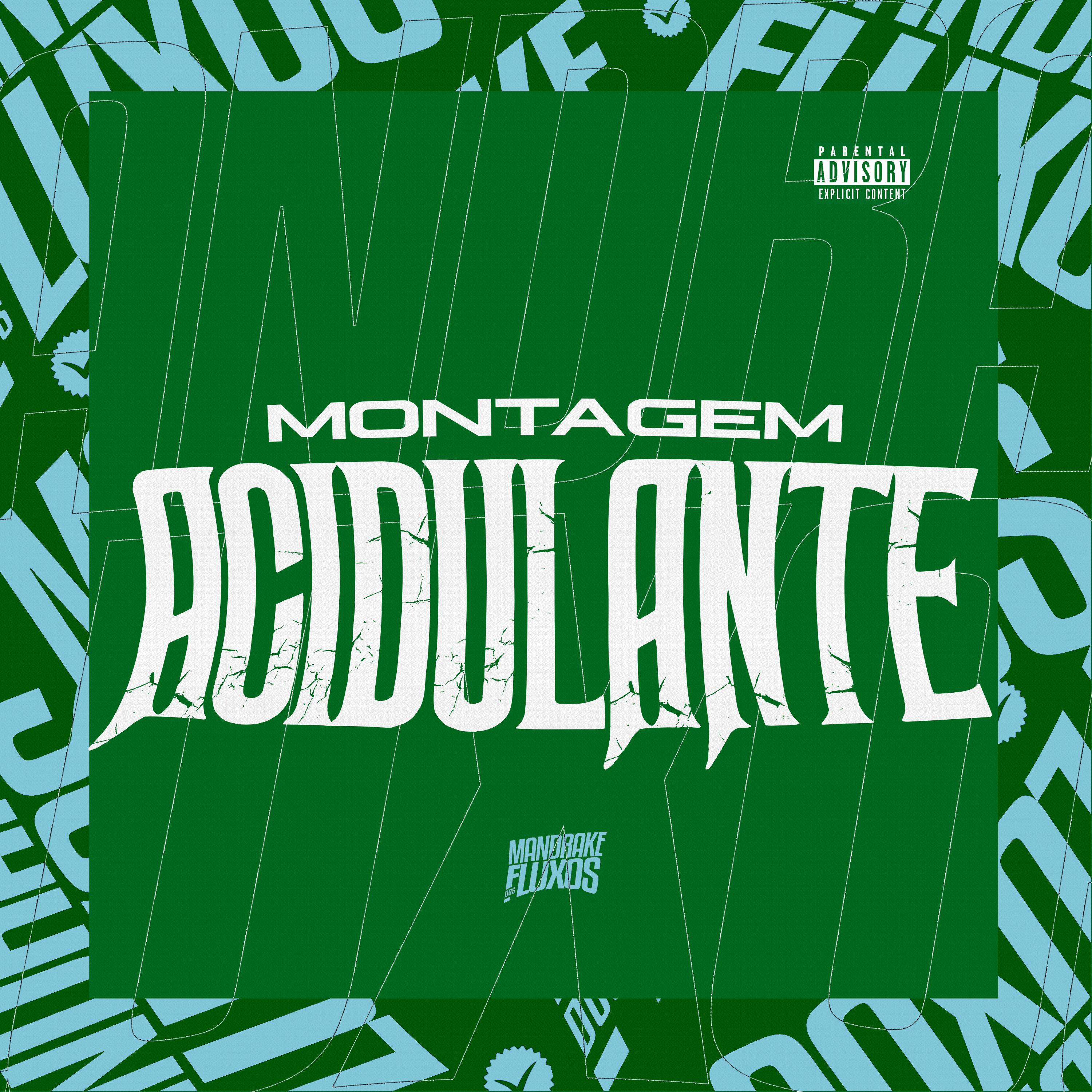 Постер альбома Montagem Acidulante