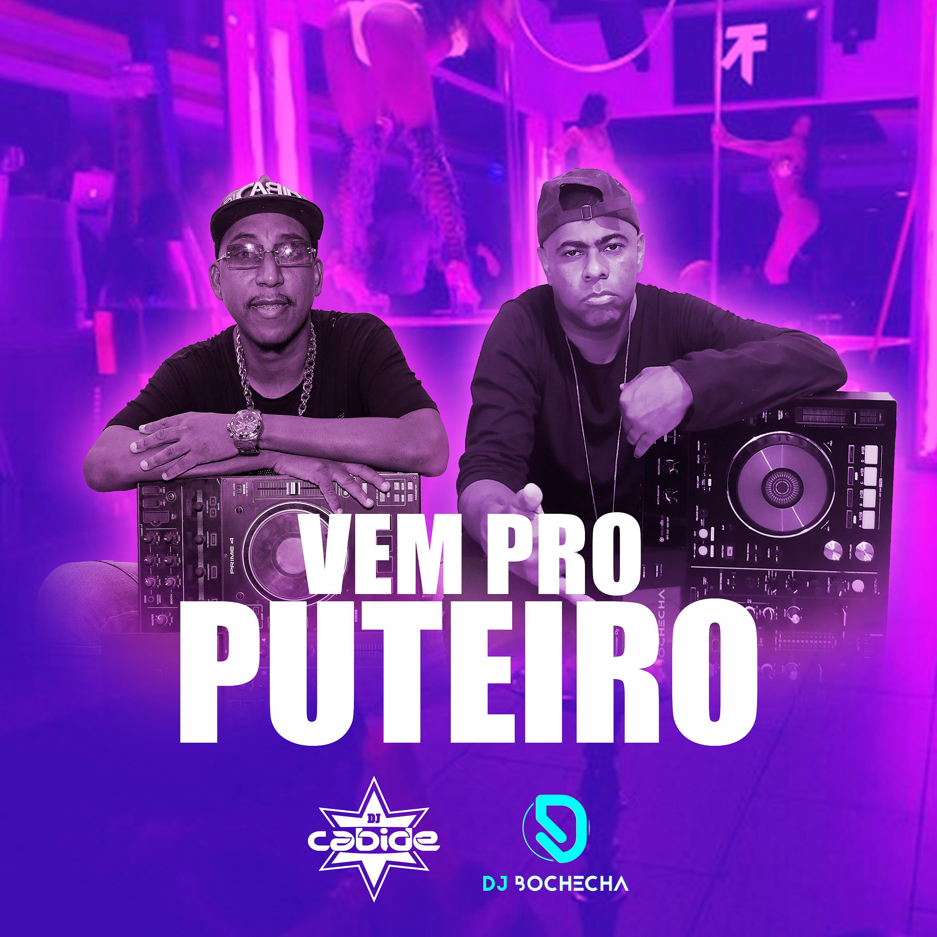 Постер альбома Vem pro Puteiro