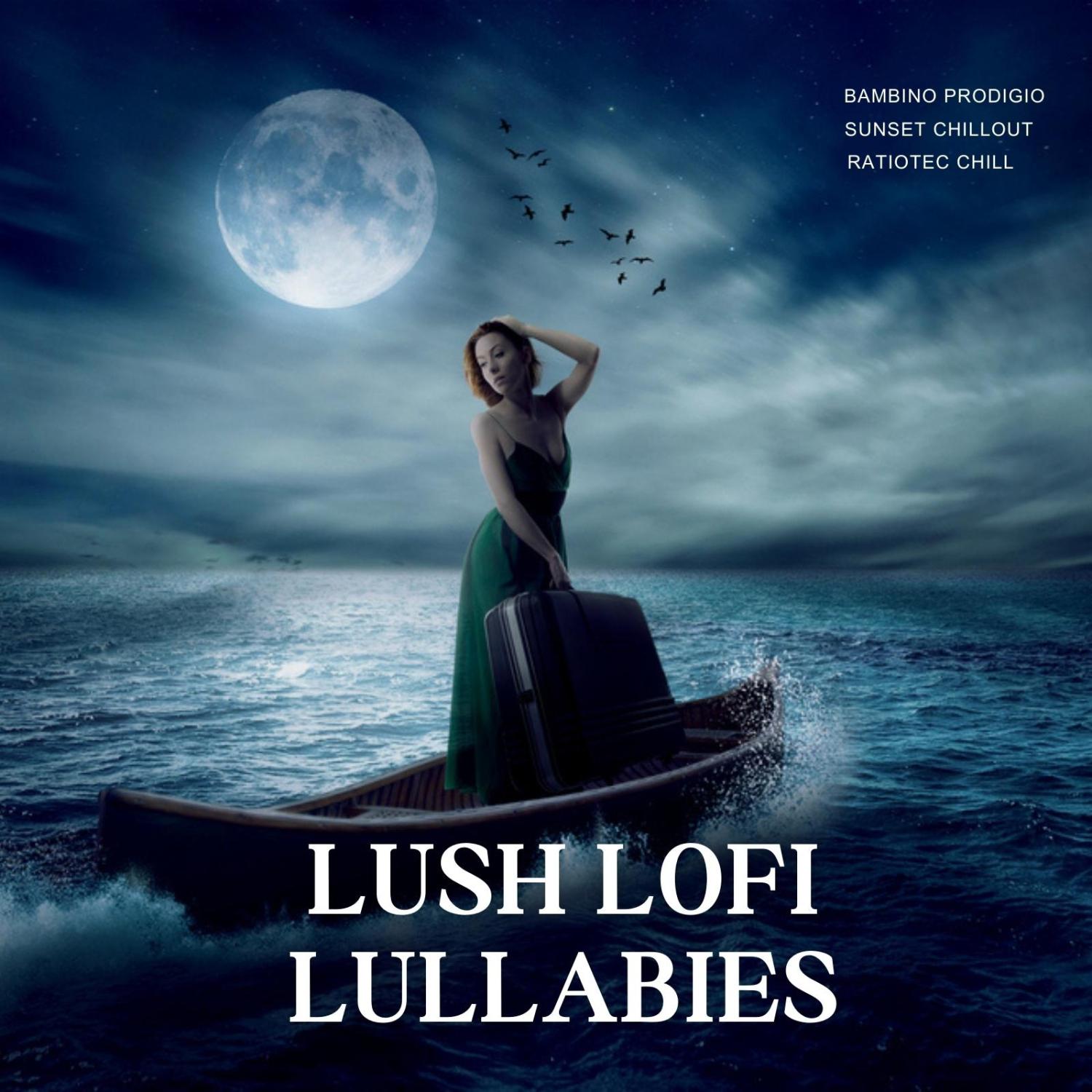 Постер альбома Lush Lofi Lullabies