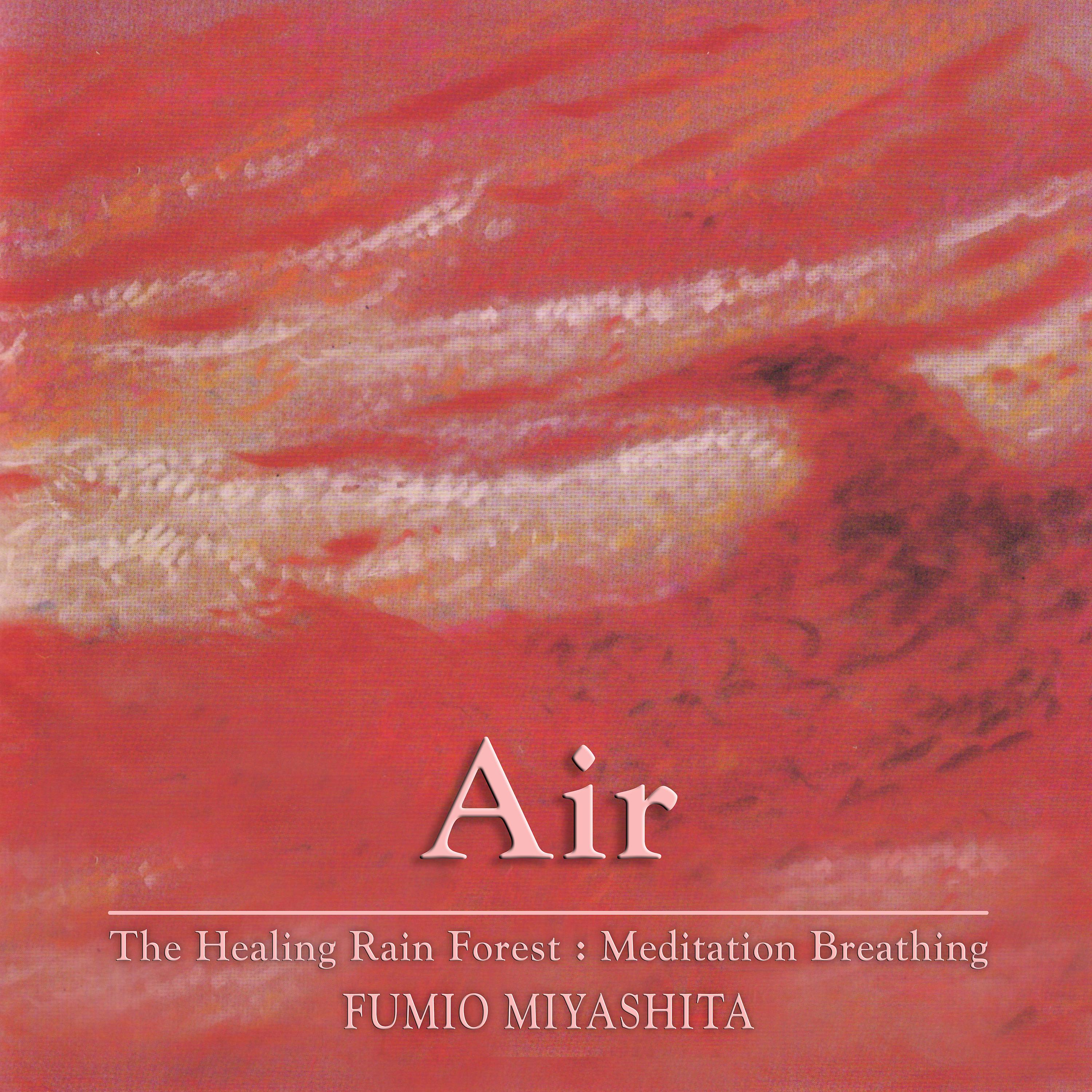 Постер альбома The Healing Rain Forest: Meditation Breathing | Air