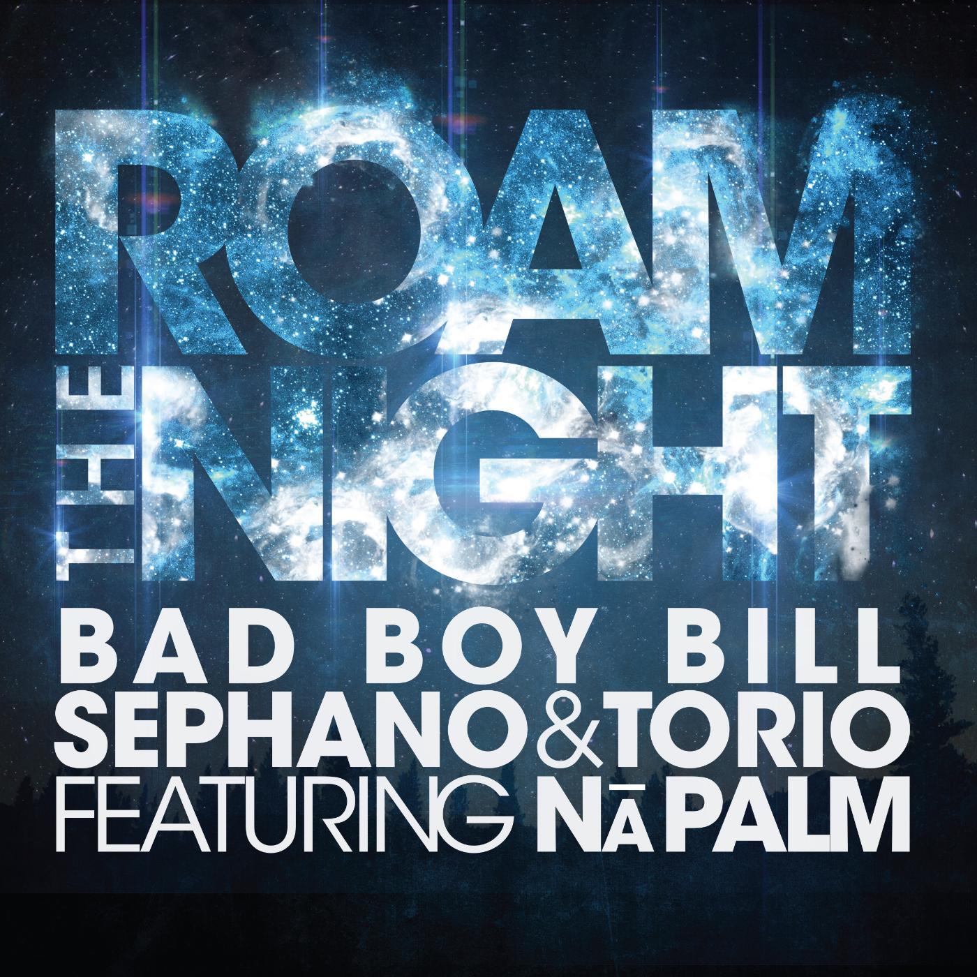 Постер альбома Roam the Night (feat. Na Palm)