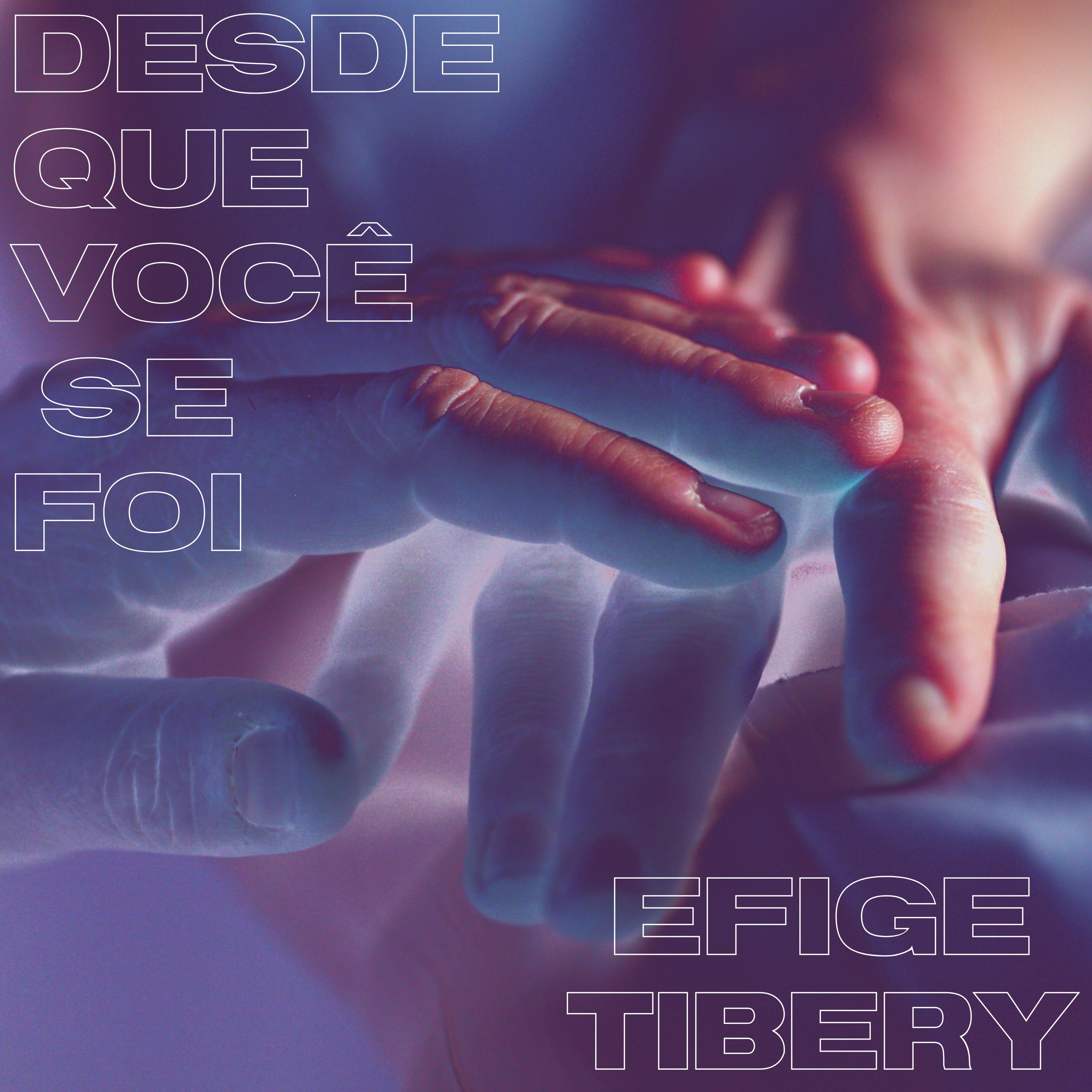 Постер альбома Desde Que Você Se Foi