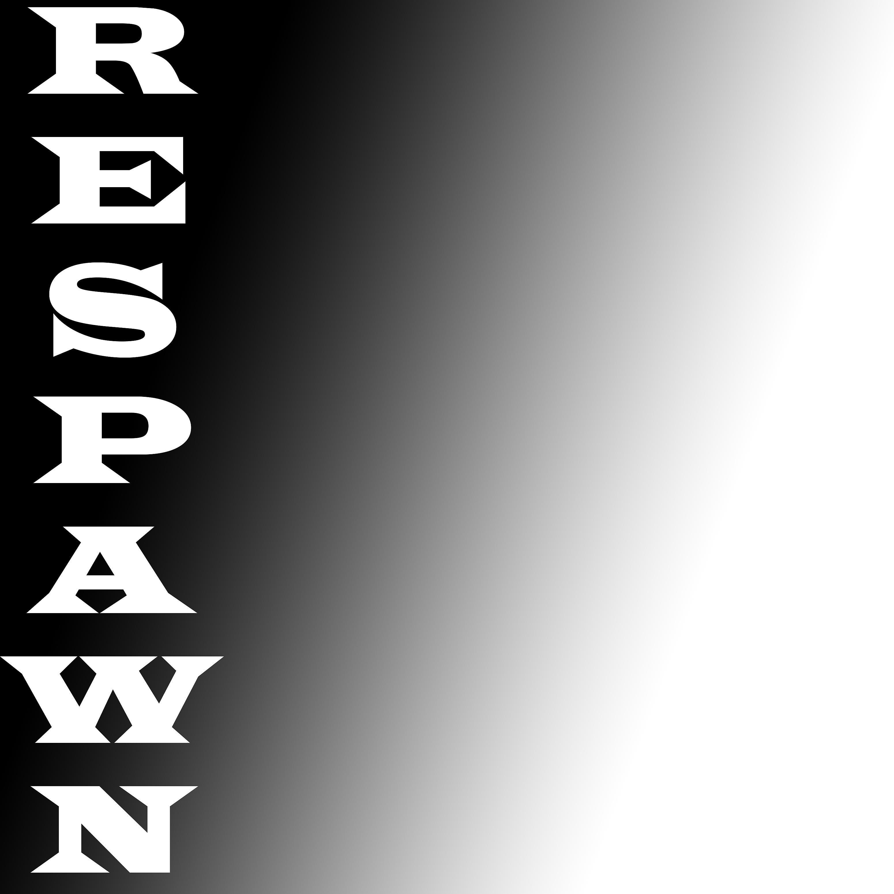 Постер альбома Respawn