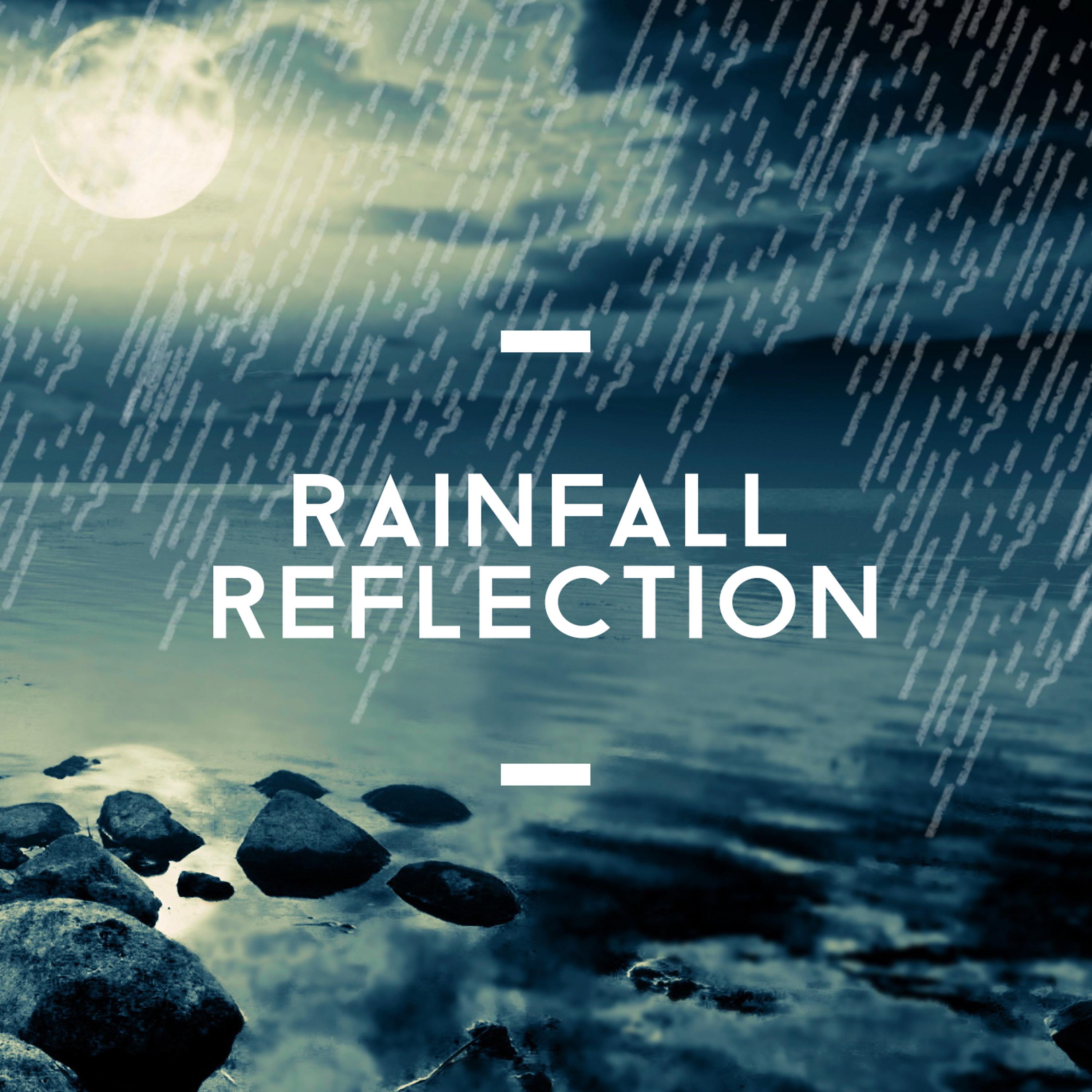 Постер альбома Rainfall Reflection