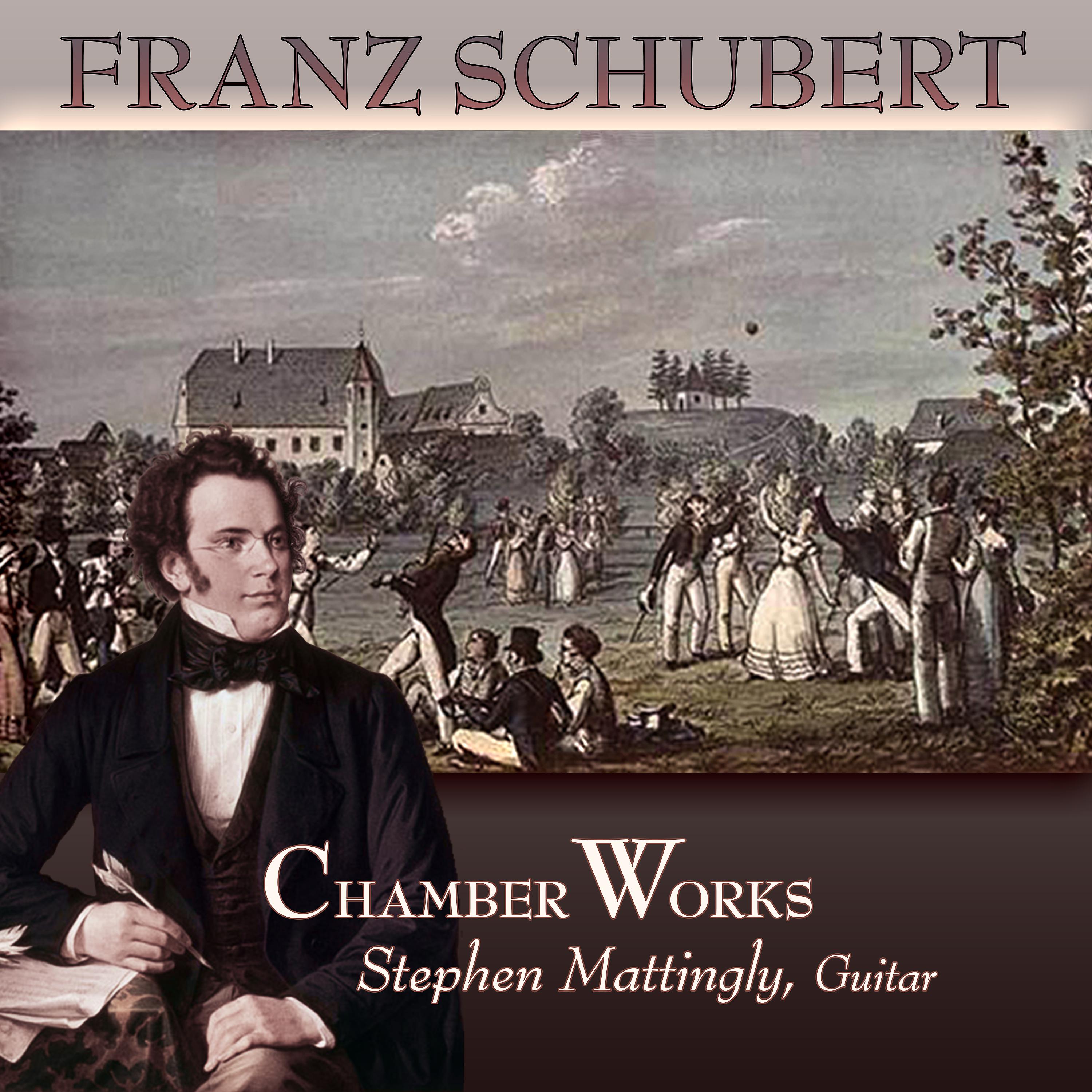 Постер альбома Franz Schubert: The Complete Chamber Works with Guitar