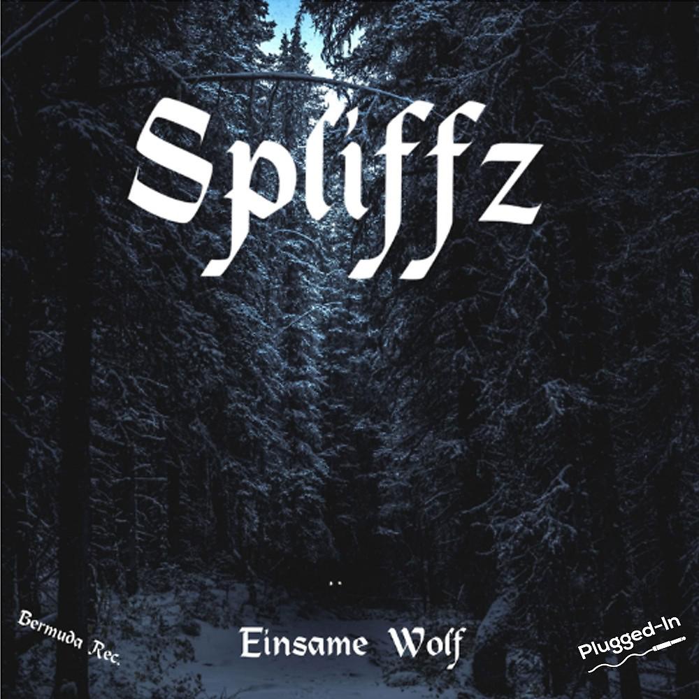Постер альбома Einsame Wolf