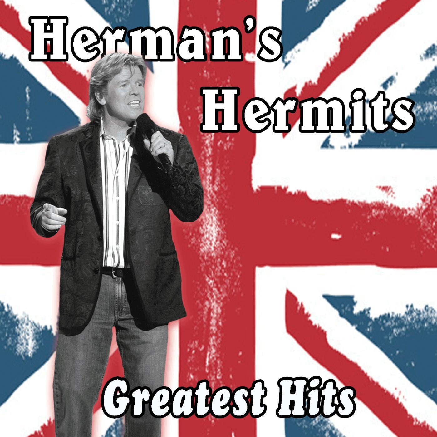 Постер альбома Herman's Hermits Greatest Hits (Re-Record)