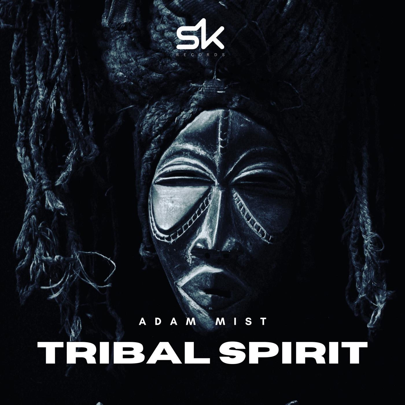 Постер альбома Tribal Spirit