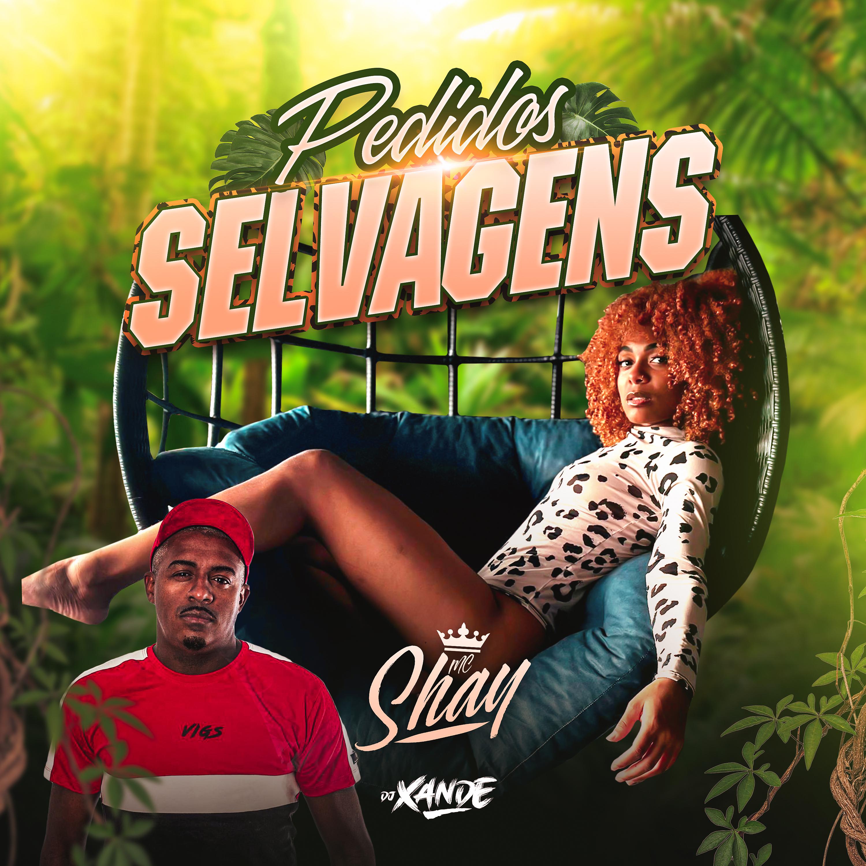 Постер альбома Pedidos Selvagens