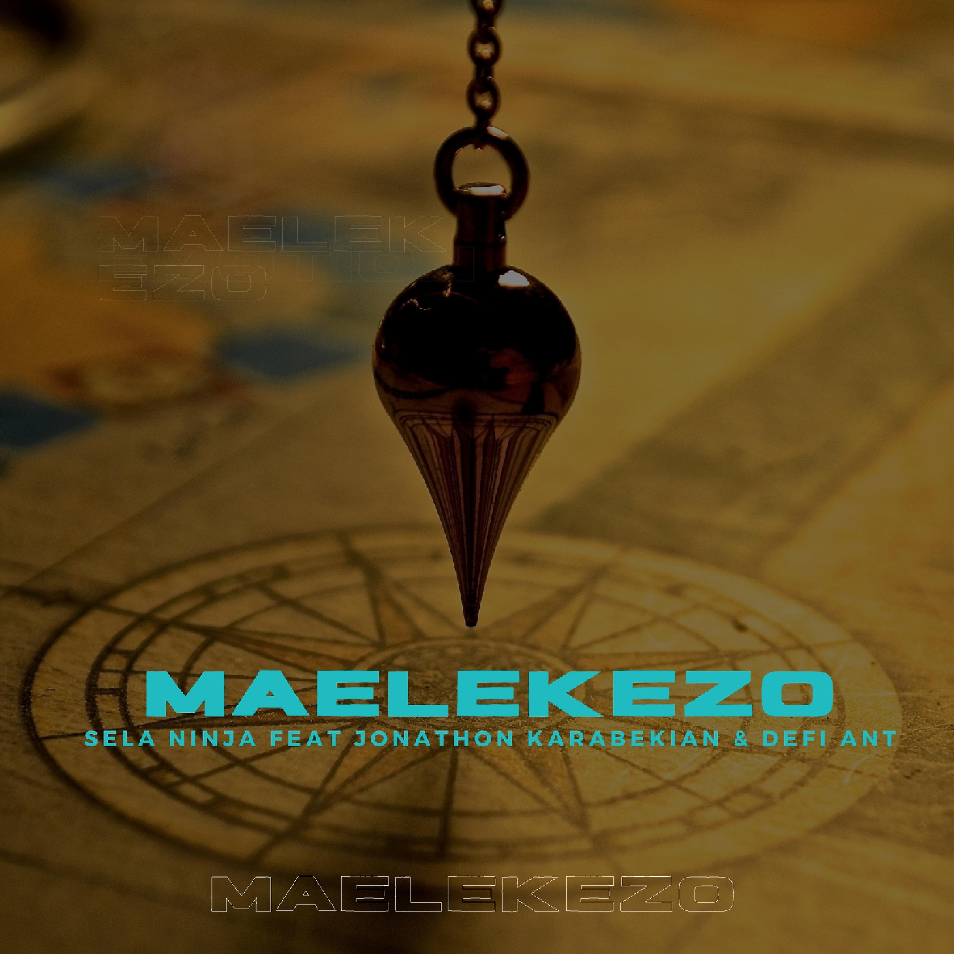 Постер альбома Maelekezo