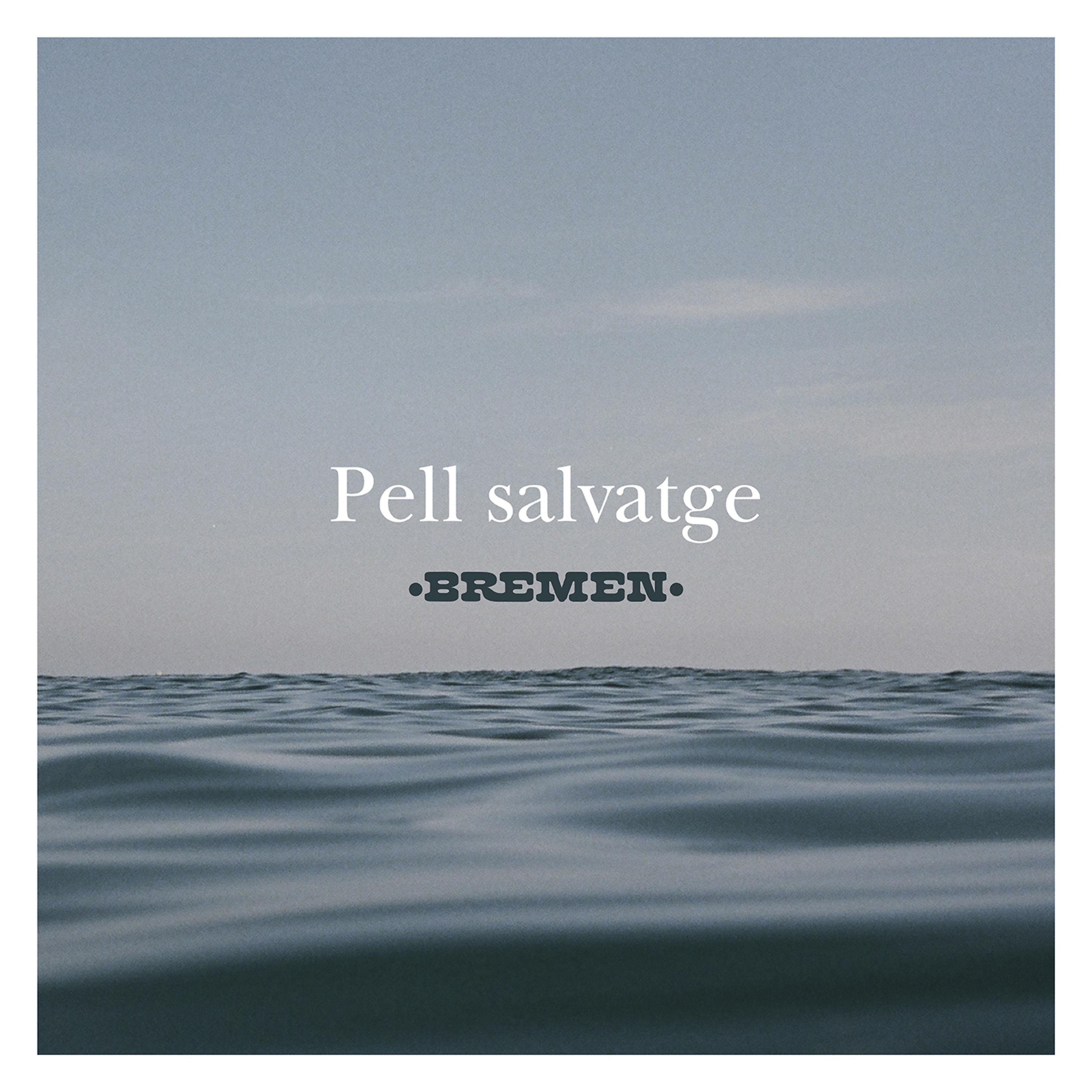 Постер альбома Pell Salvatge