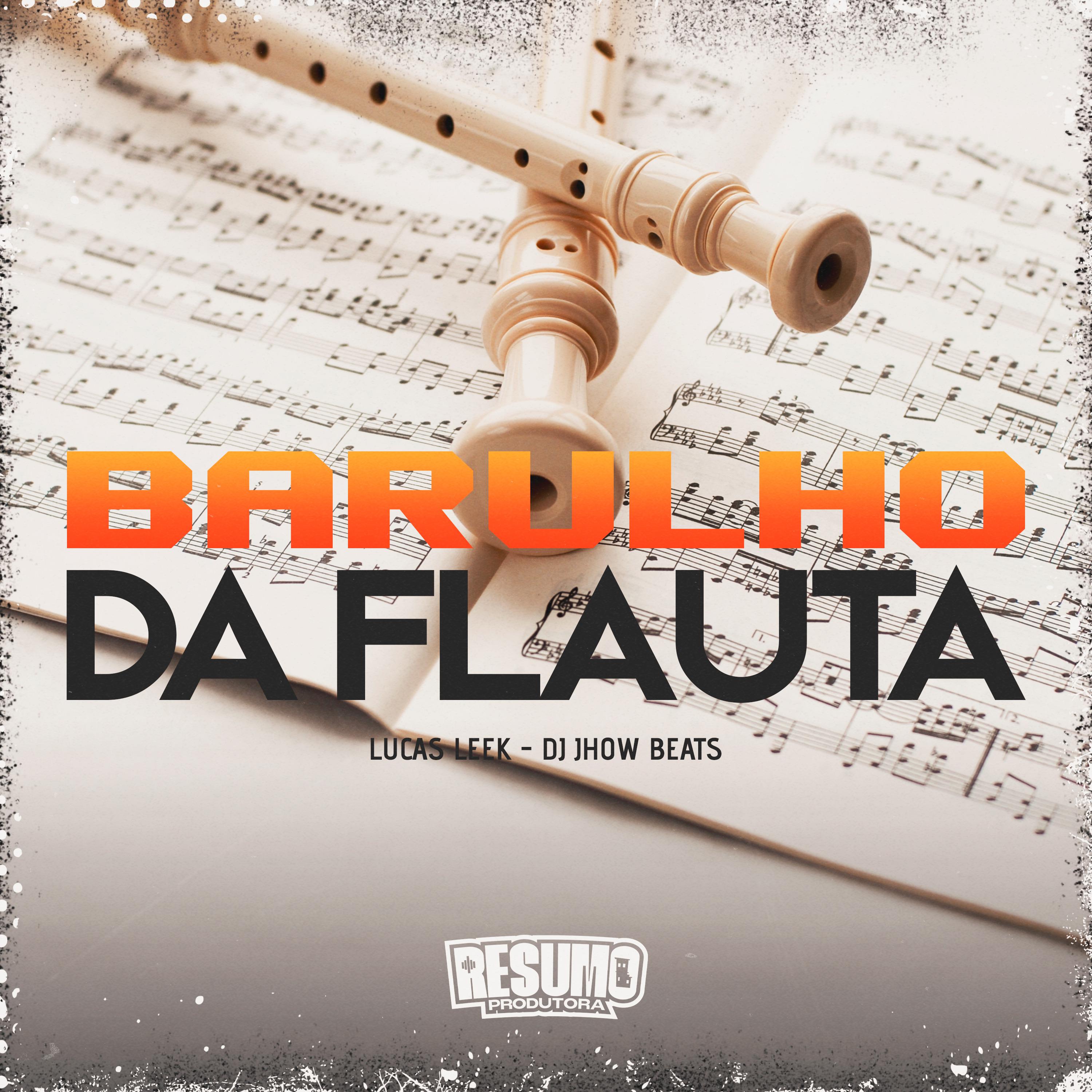 Постер альбома Barulho da Flauta