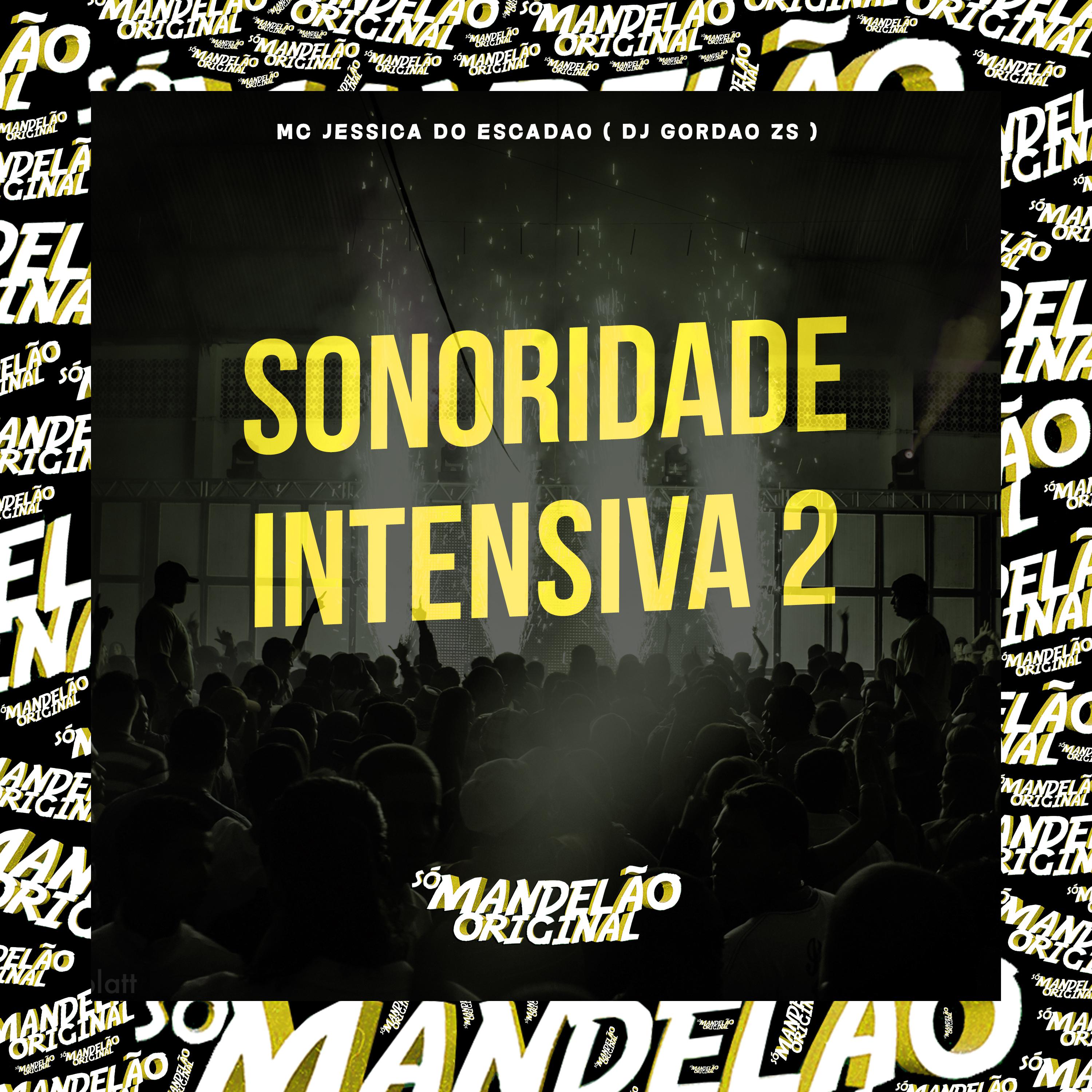 Постер альбома Sonoridade Intensiva 2