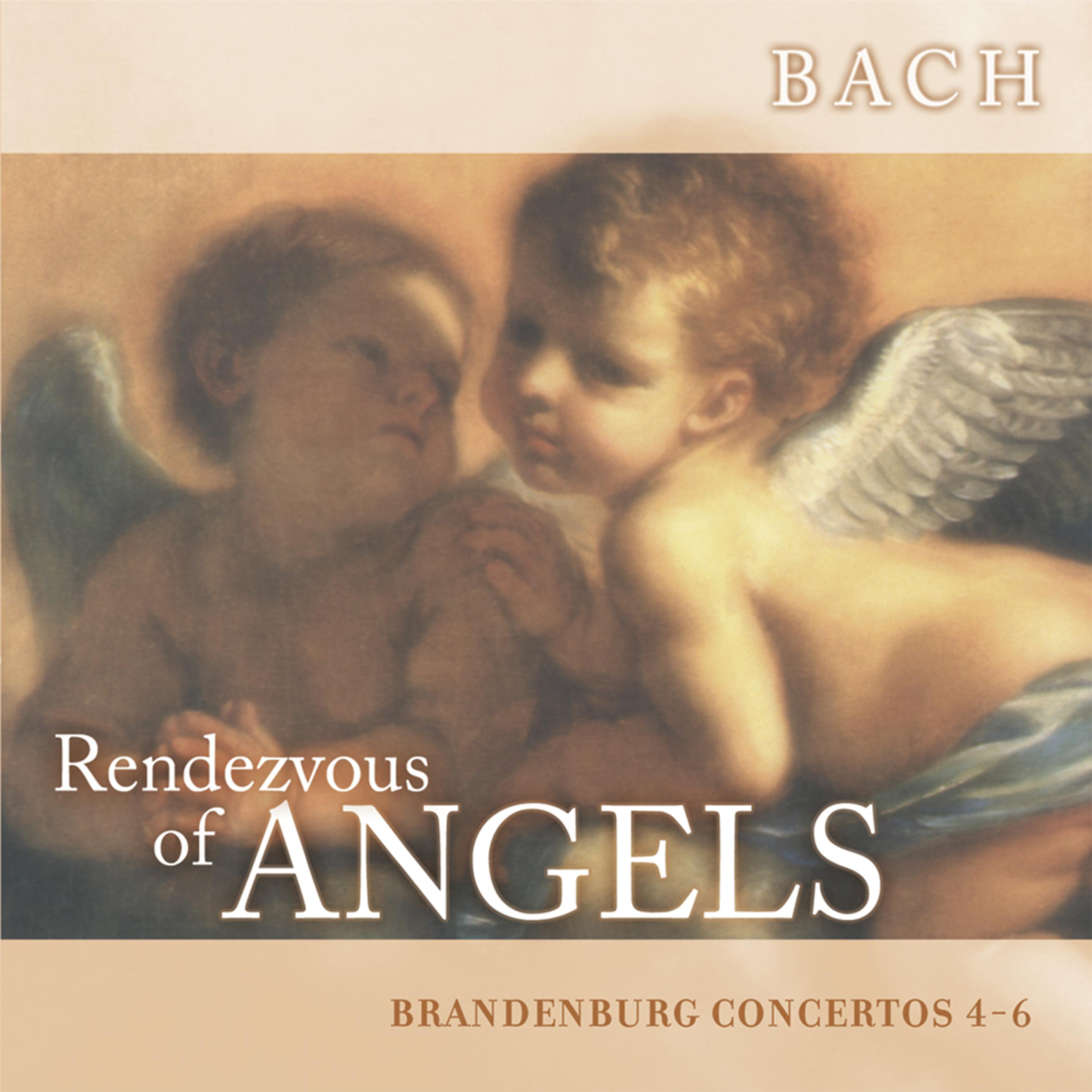 Постер альбома Rendezvous of Angels - Bach: Brandenburg Concertos 4-6