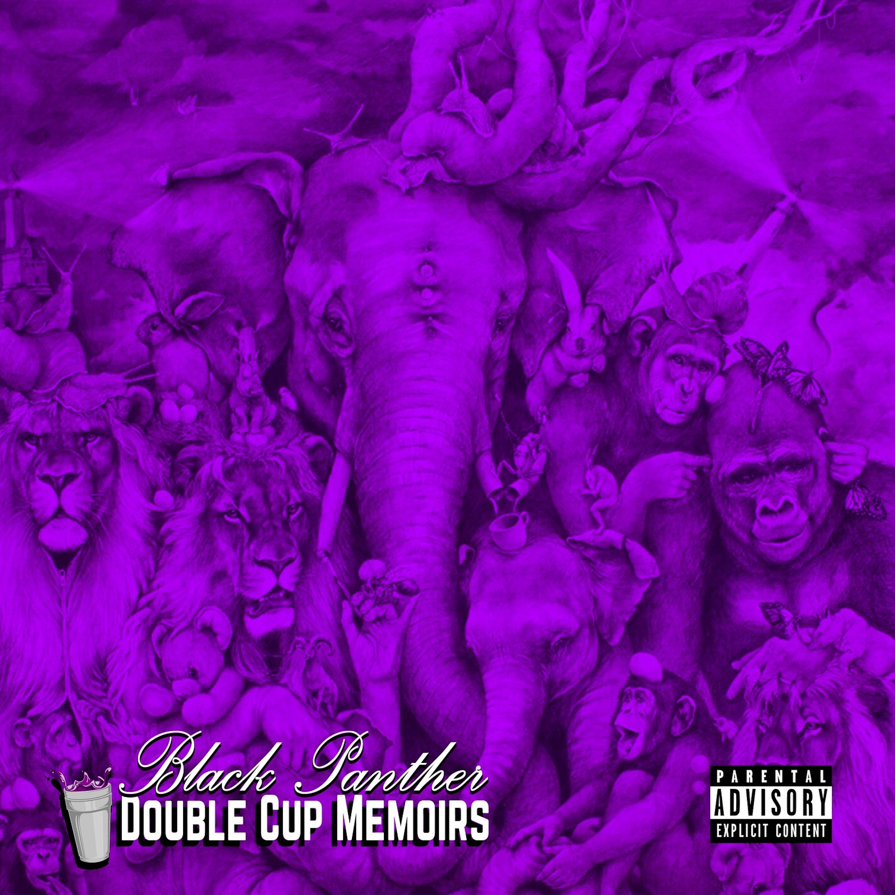 Постер альбома Double Cup Memoirs