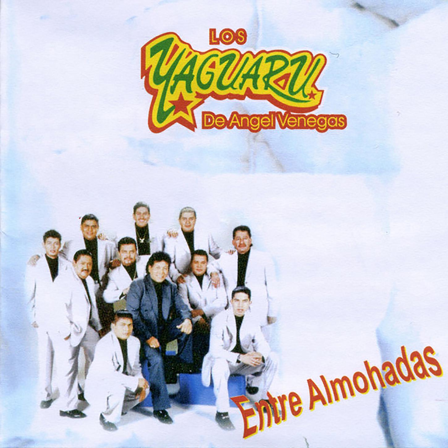 Постер альбома Los Yaguaru