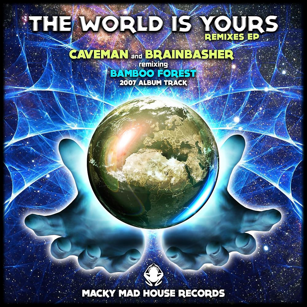 Постер альбома The World Is Yours - 2014 The Remixes